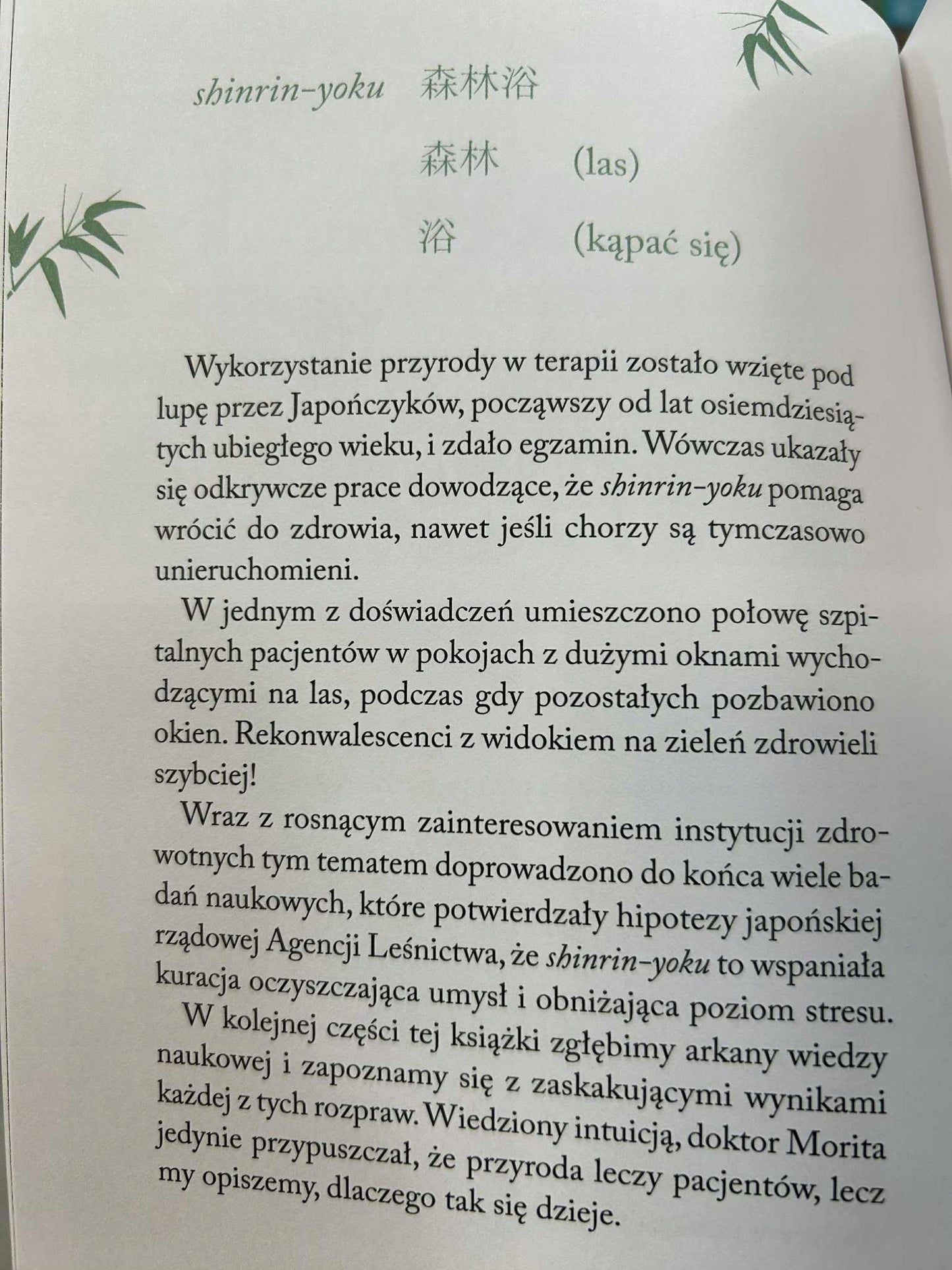 f6c44882e30fc7974a4b77151fbfdc2d