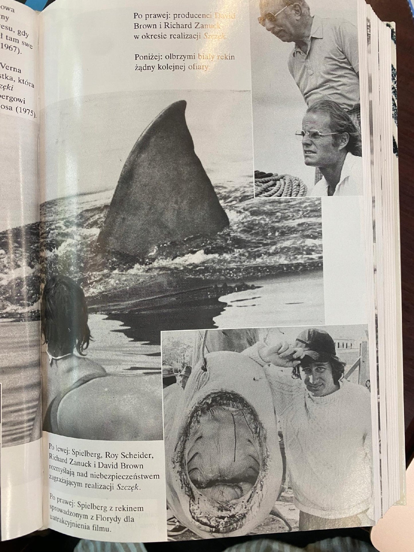 bce54e1bc94544bd1a5032eccf07881e