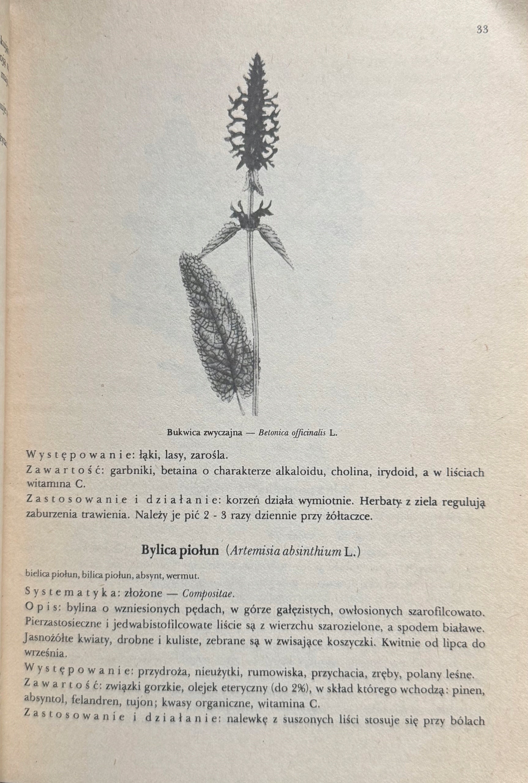 eeae1f4f2879da0623045359789df58b