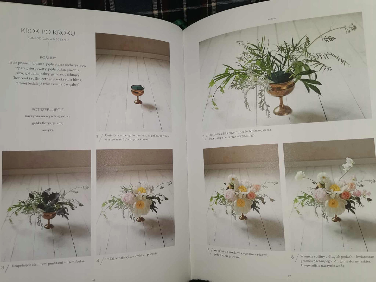 6ccb92b8f261a7a13c7c4ed2411e7972