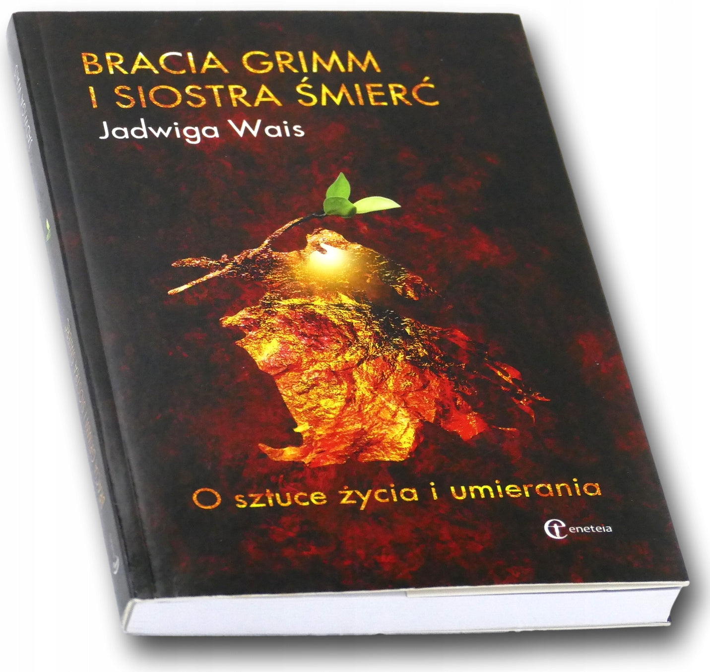 3a5685cbc7a6d34801f2e7477e087847