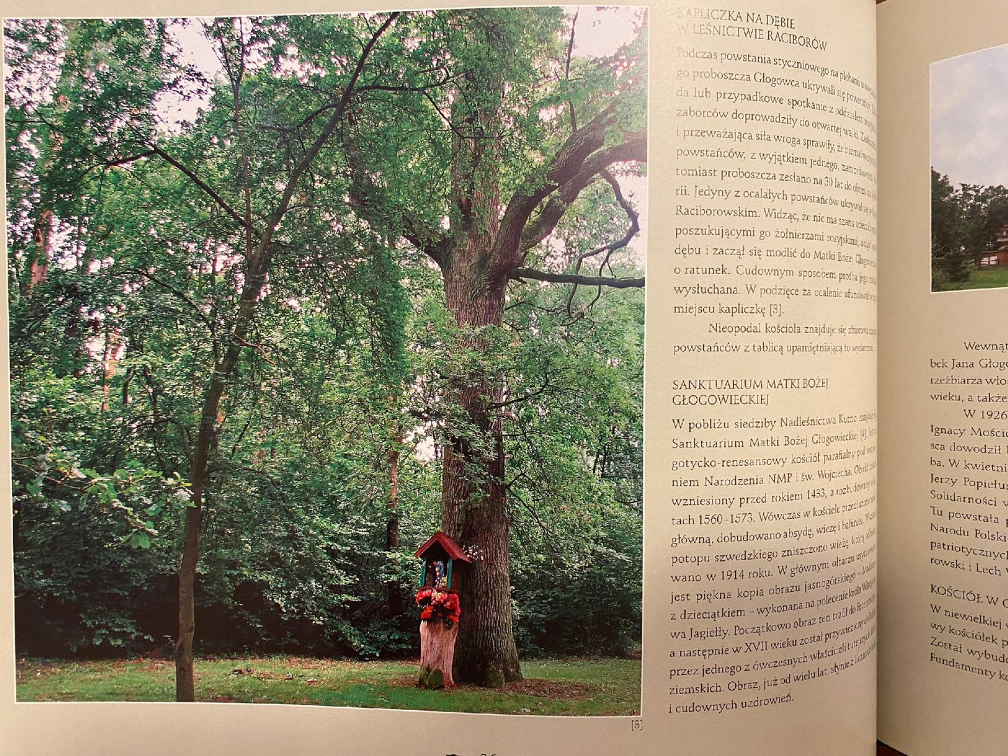 0cb2ec55d2a3853fa896605af326c809