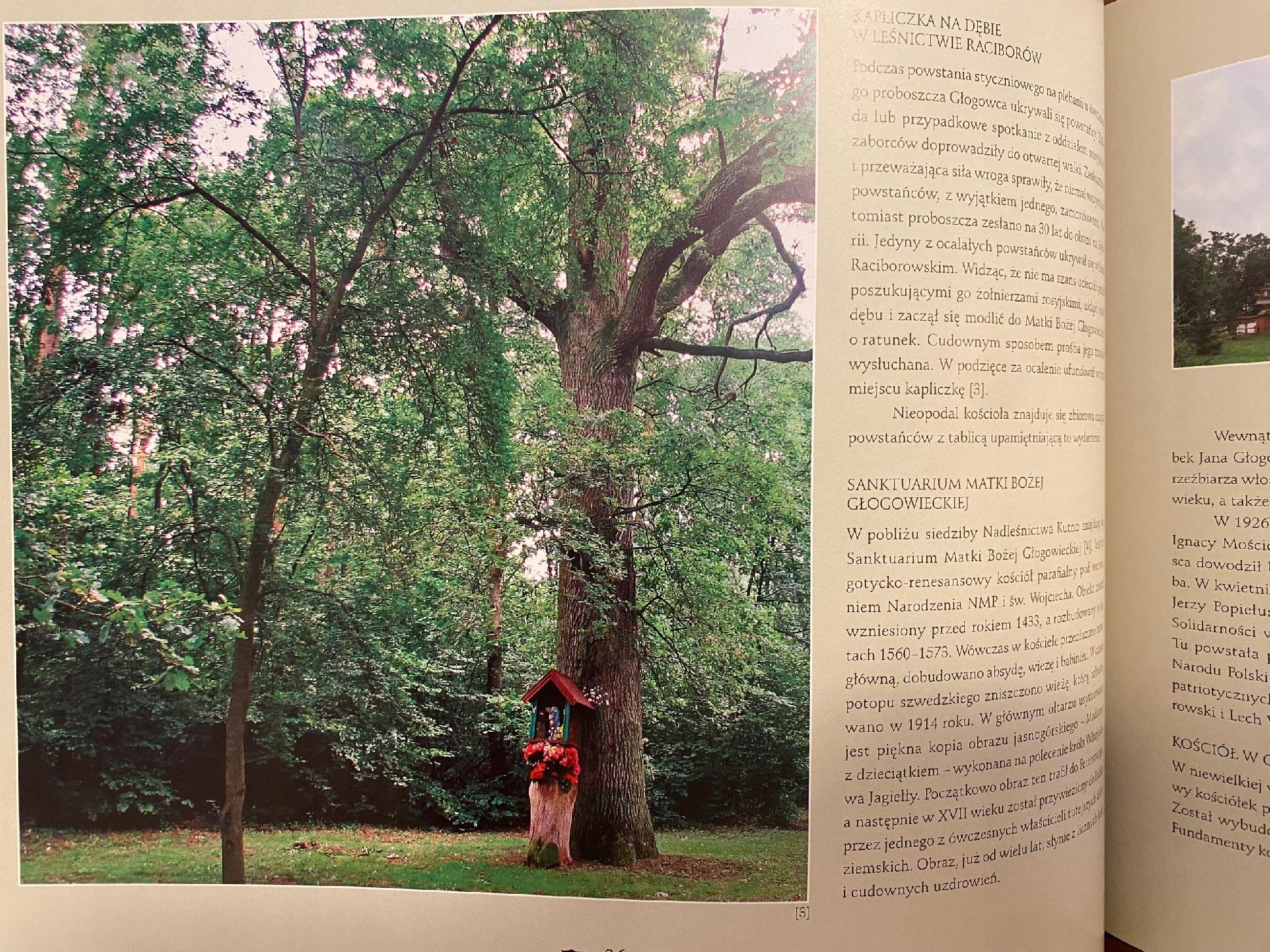 0cb2ec55d2a3853fa896605af326c809