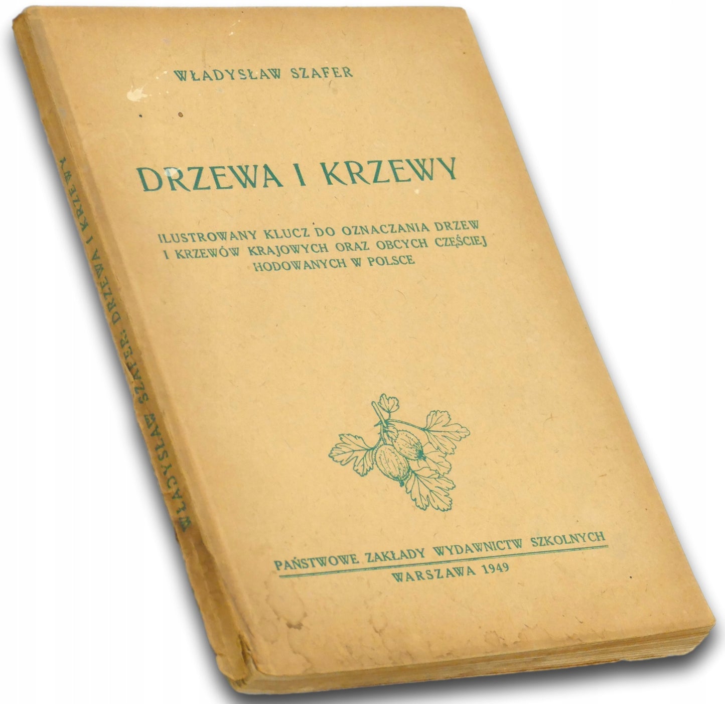 2d97ddd118cb72539e1d01e23fac3ee4