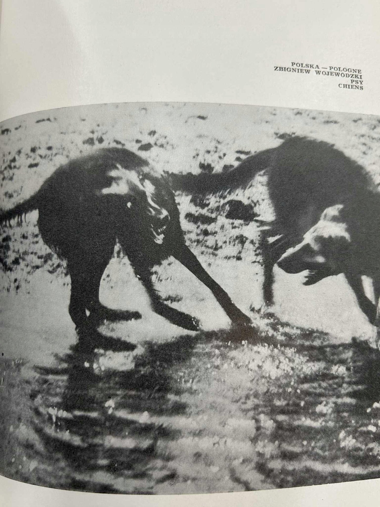 III Międzynarodowa Wystawa Fotografii Artystycznej 1966 r.