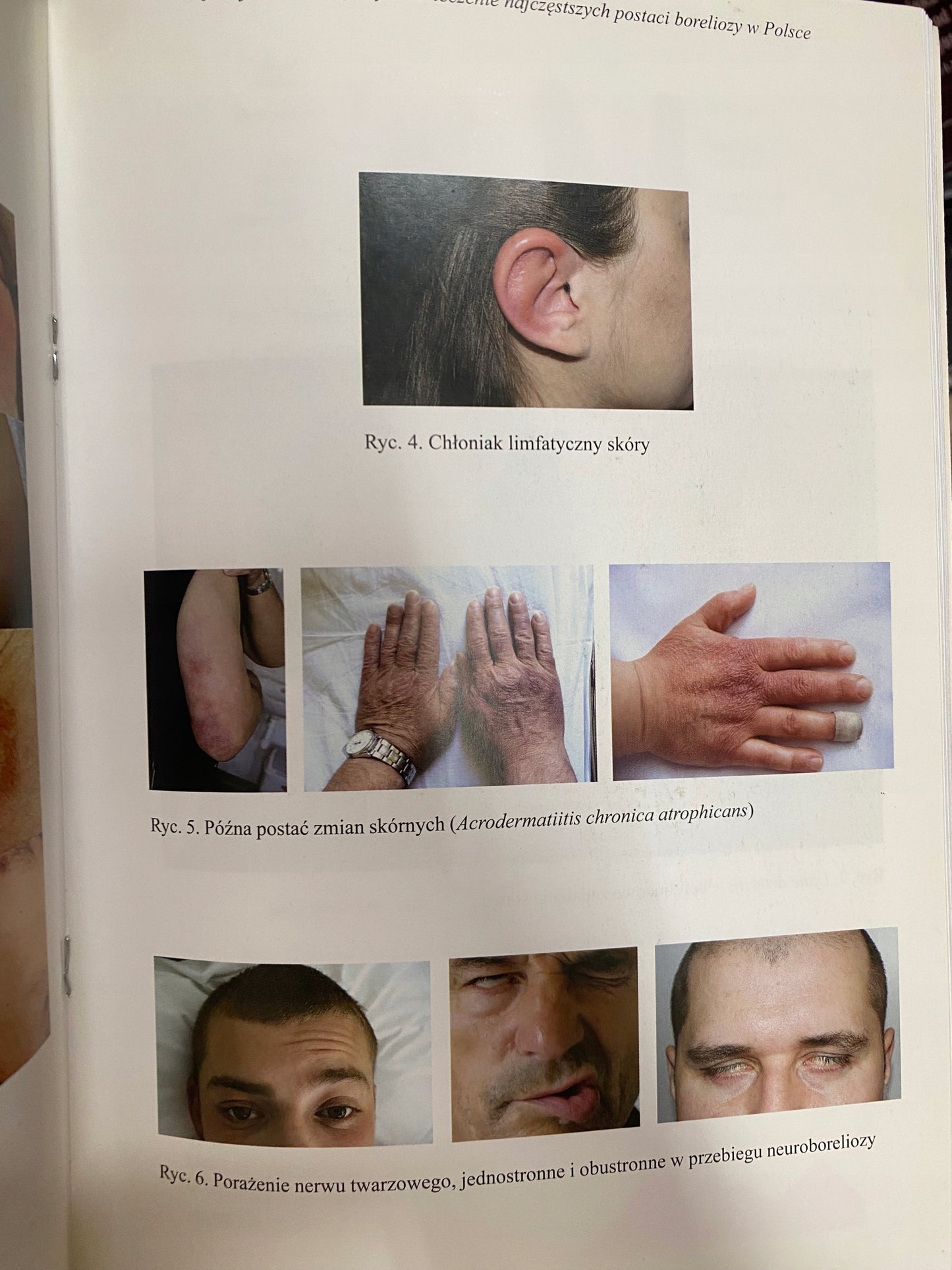 Vademecum wybranych chorób odzwierzęcych