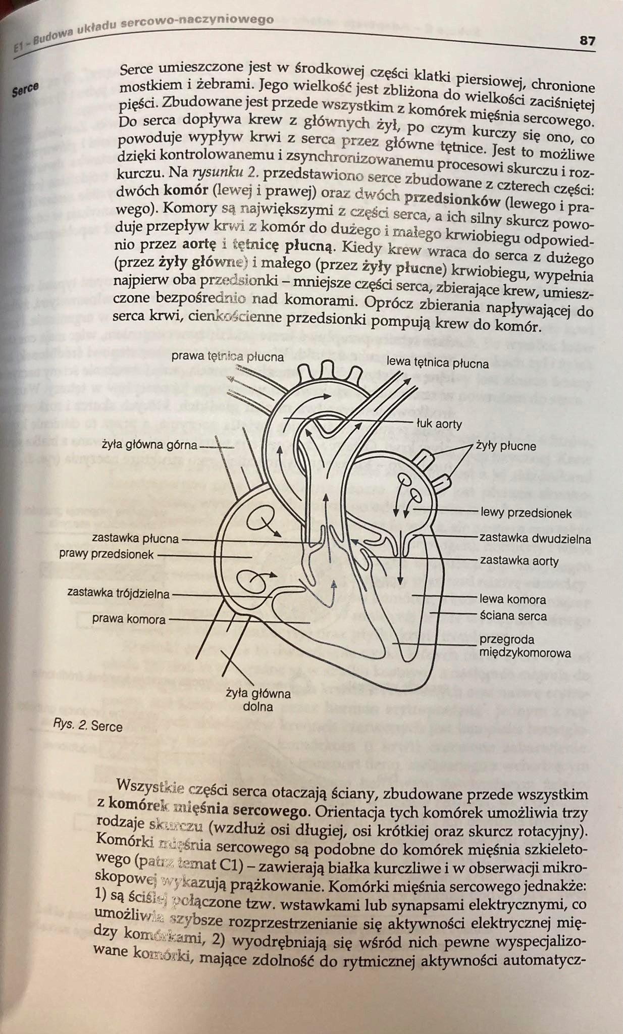 Krótkie wykłady Fizjologia sportu D. MacLaren, K. Birch, K. George