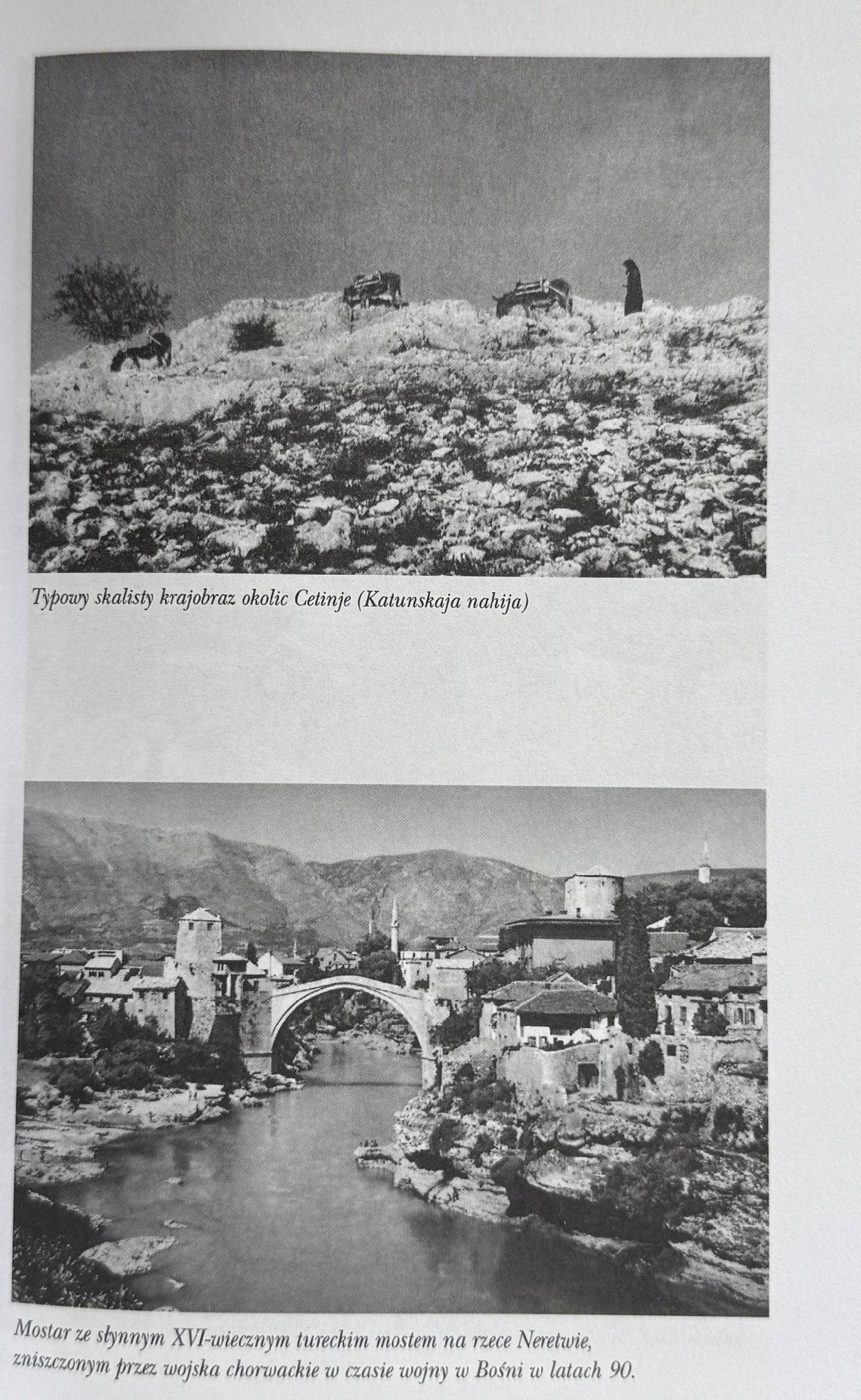 ebfa045d869049b4c0e189160e018d81