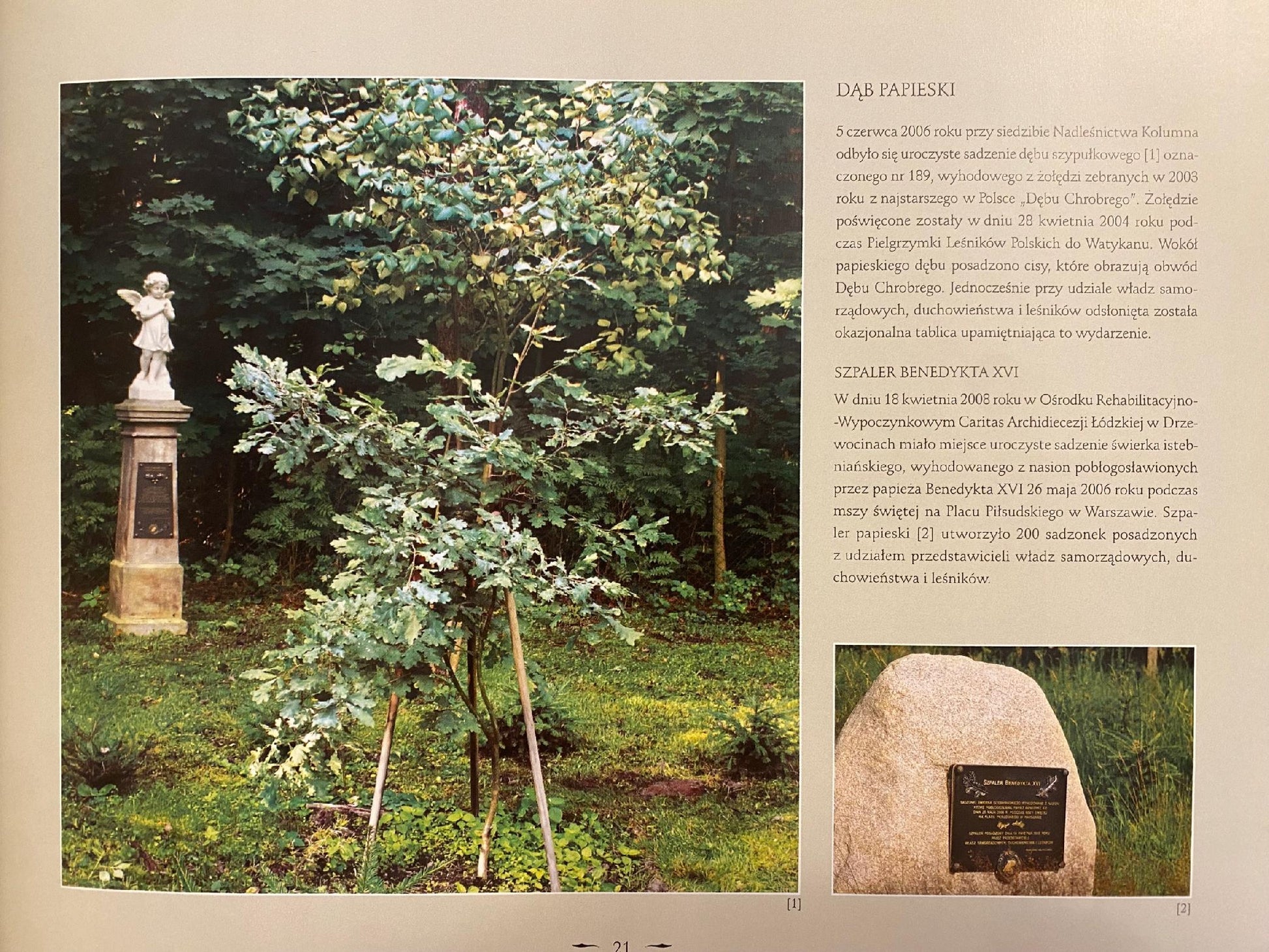 a6824bf9c9b3a44dc2d9a94c4ccf5f95