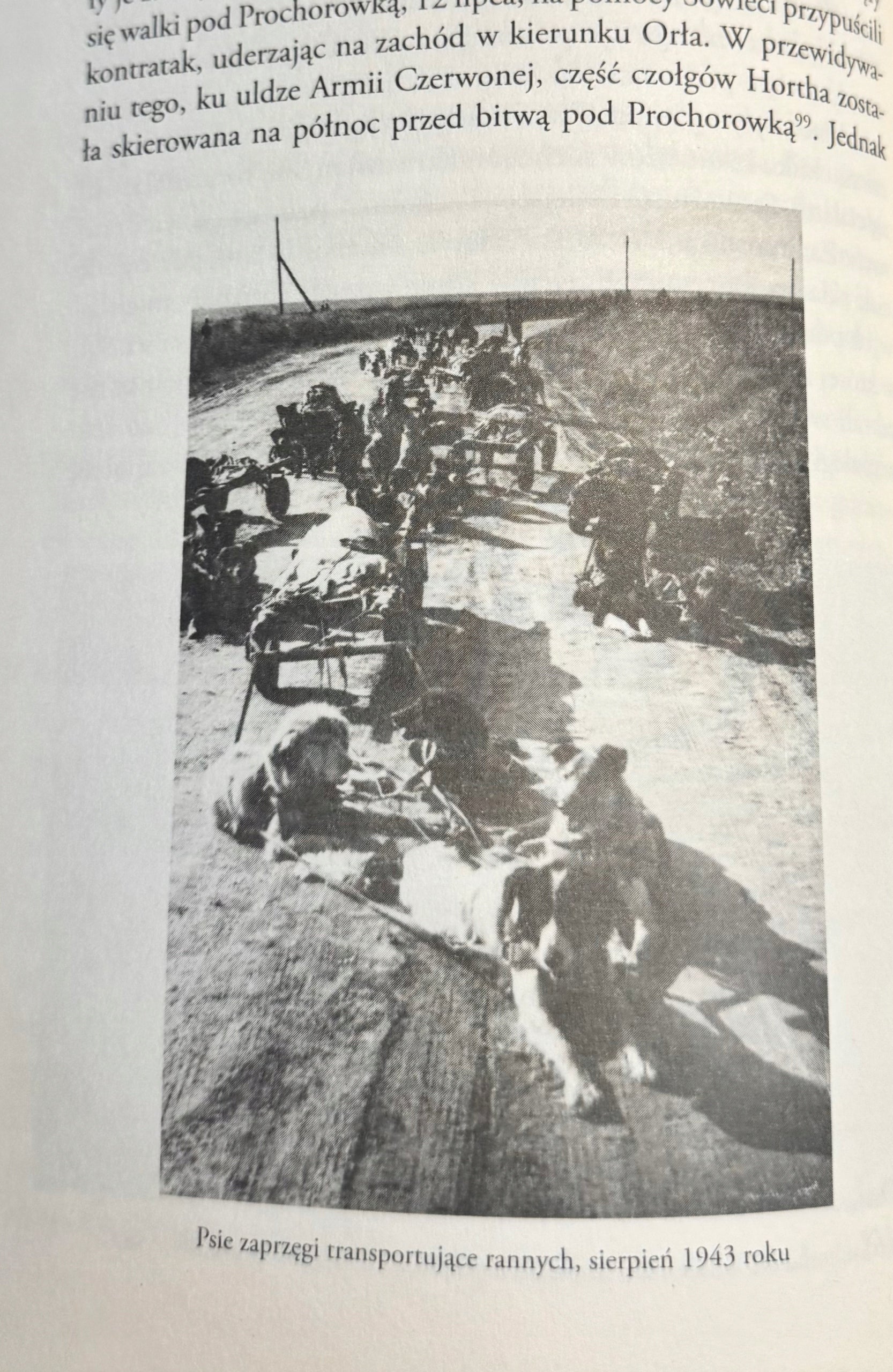 8f690c6419551b396a71e7c3c284ccd3