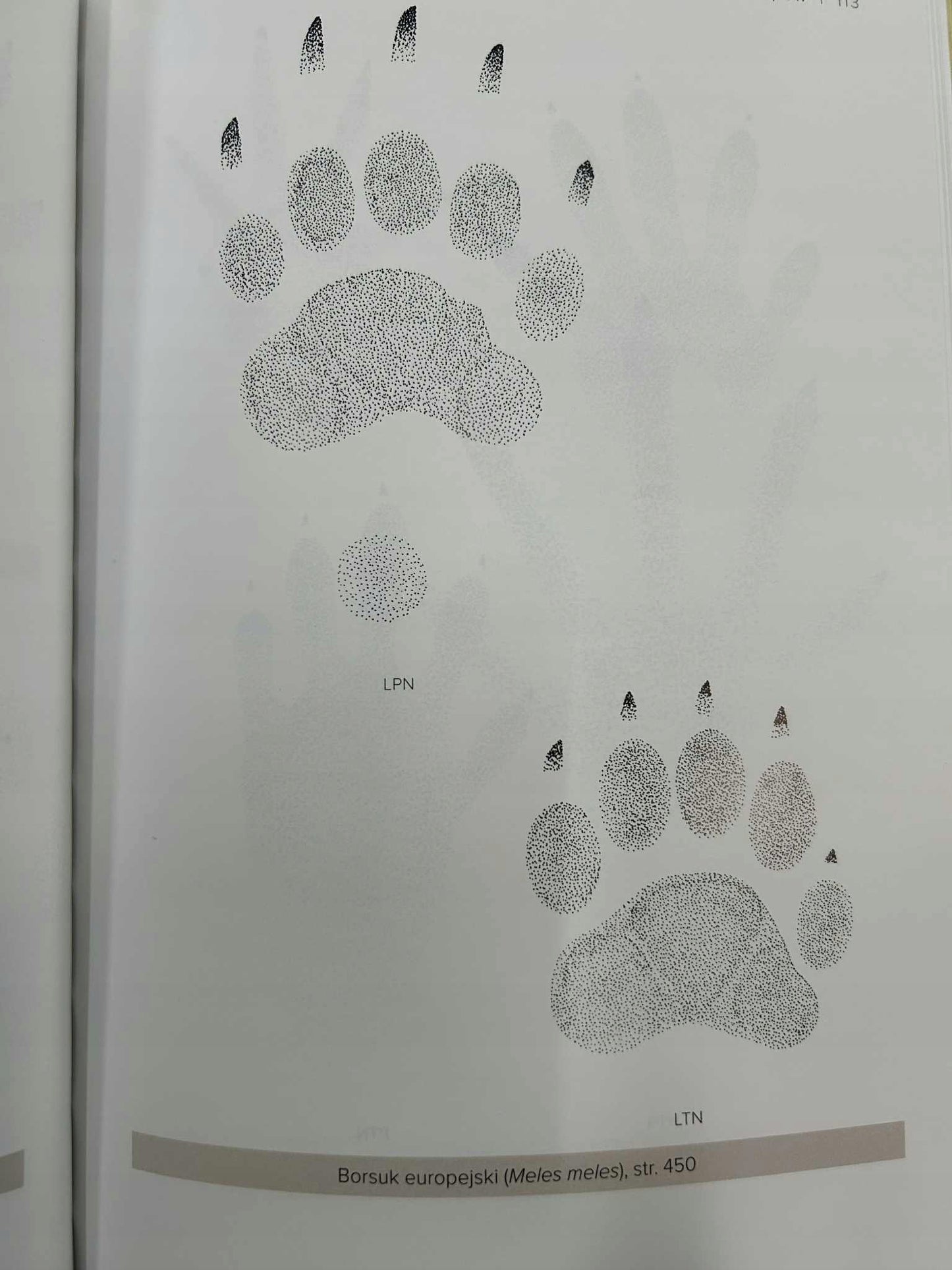 230d239c3f7b4f1a2acca4bac26ce67b