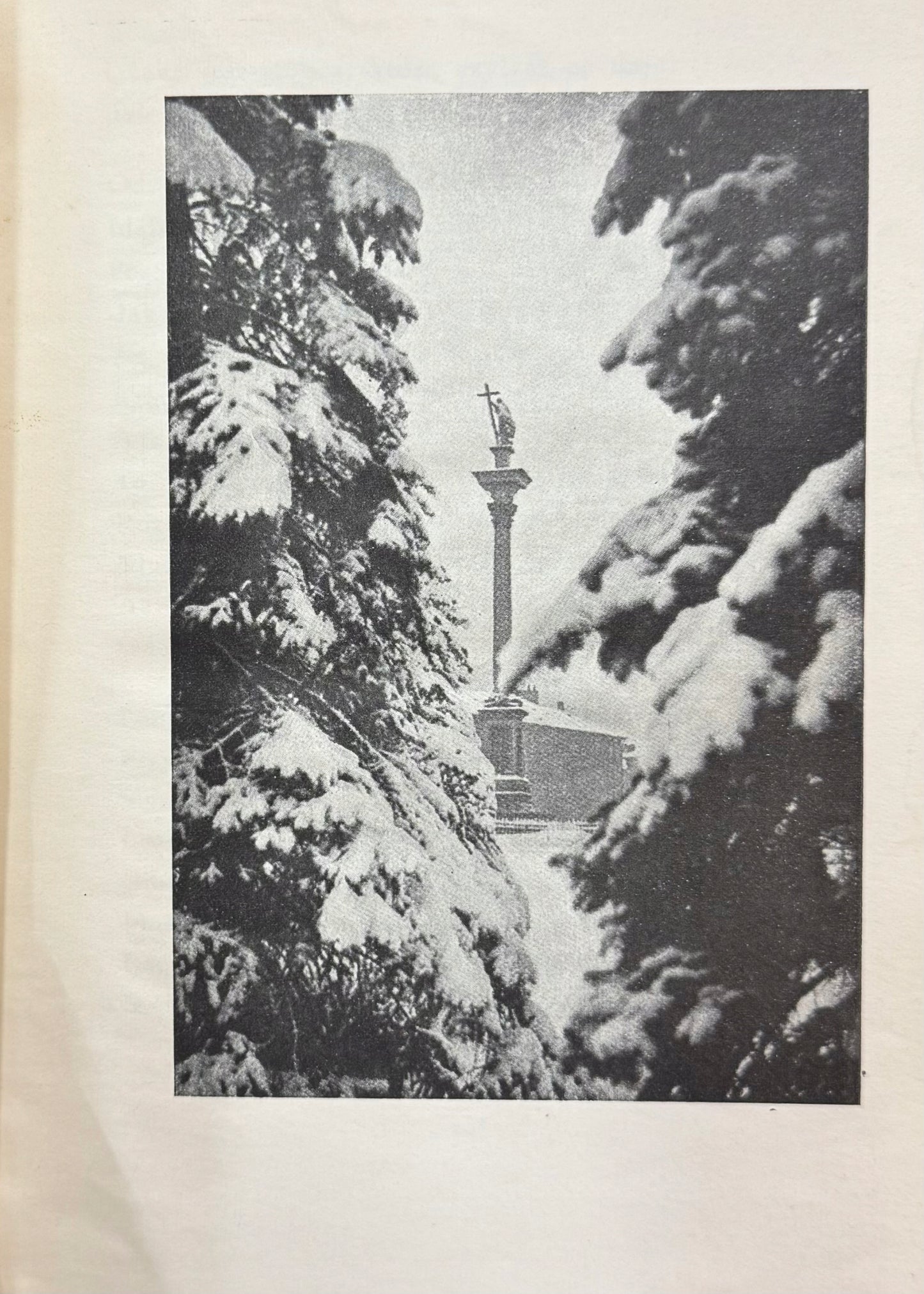 0ee11a19797feb2506ba36edada80268