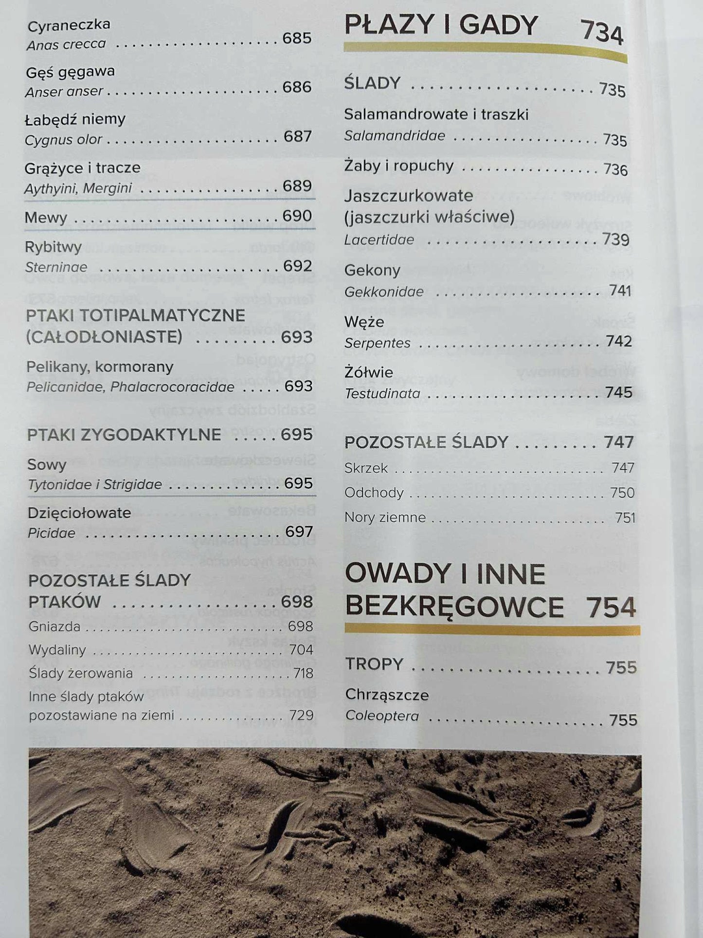 0f969ae01f7118e793ae8e789bff2f15