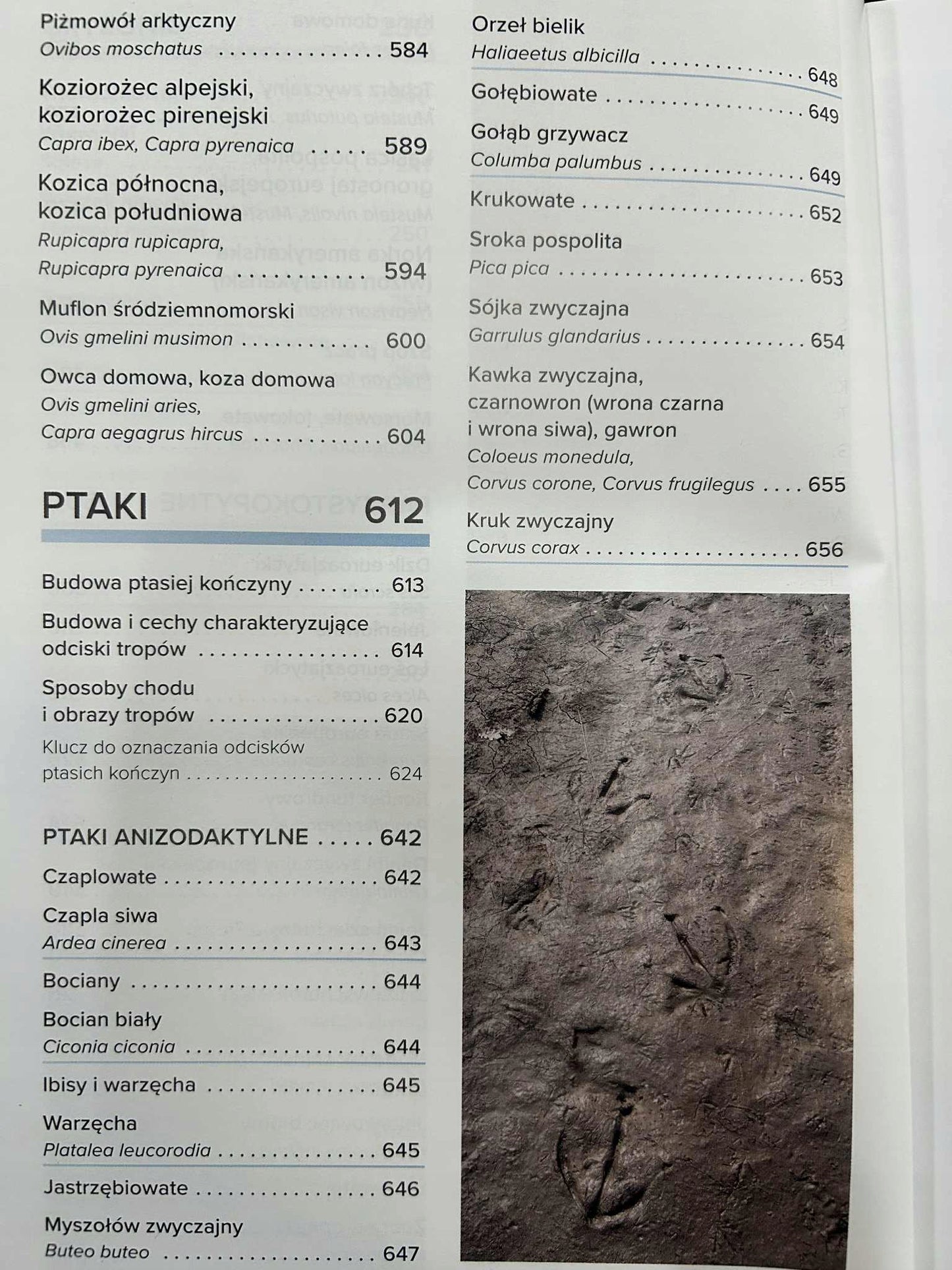 d56c17c1161eaea8f306e03fb514ad01