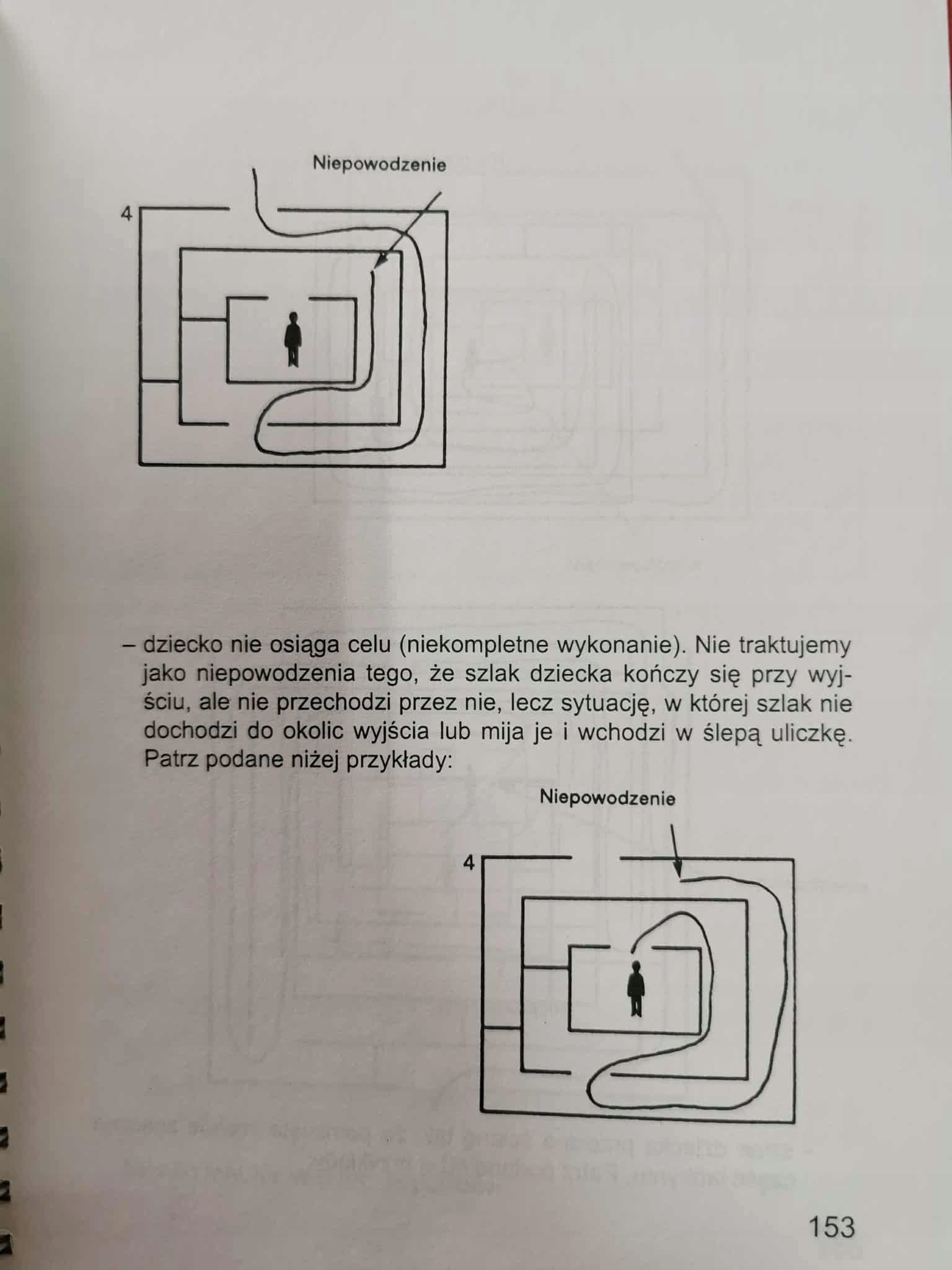 Skala inteligencji D. Wechslera dla dzieci, Podręcznik