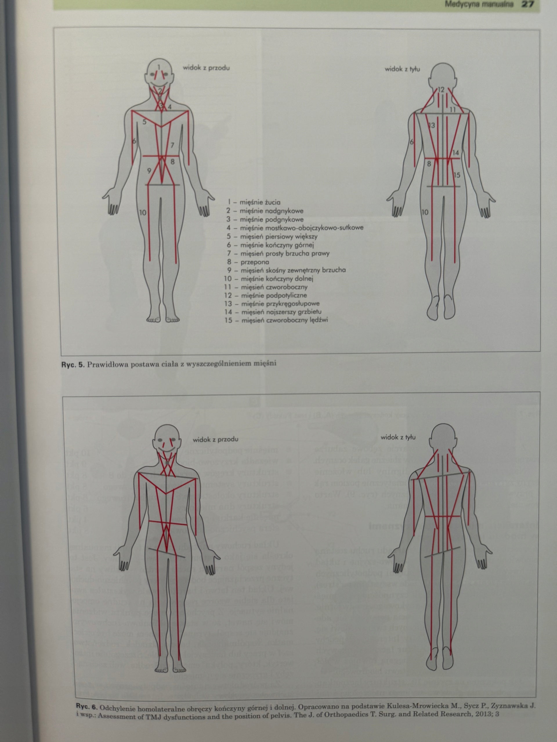 Diagnostyka i leczenie dysfunkcji czaszkowo-żuchwowych w ujęciu holistyczny