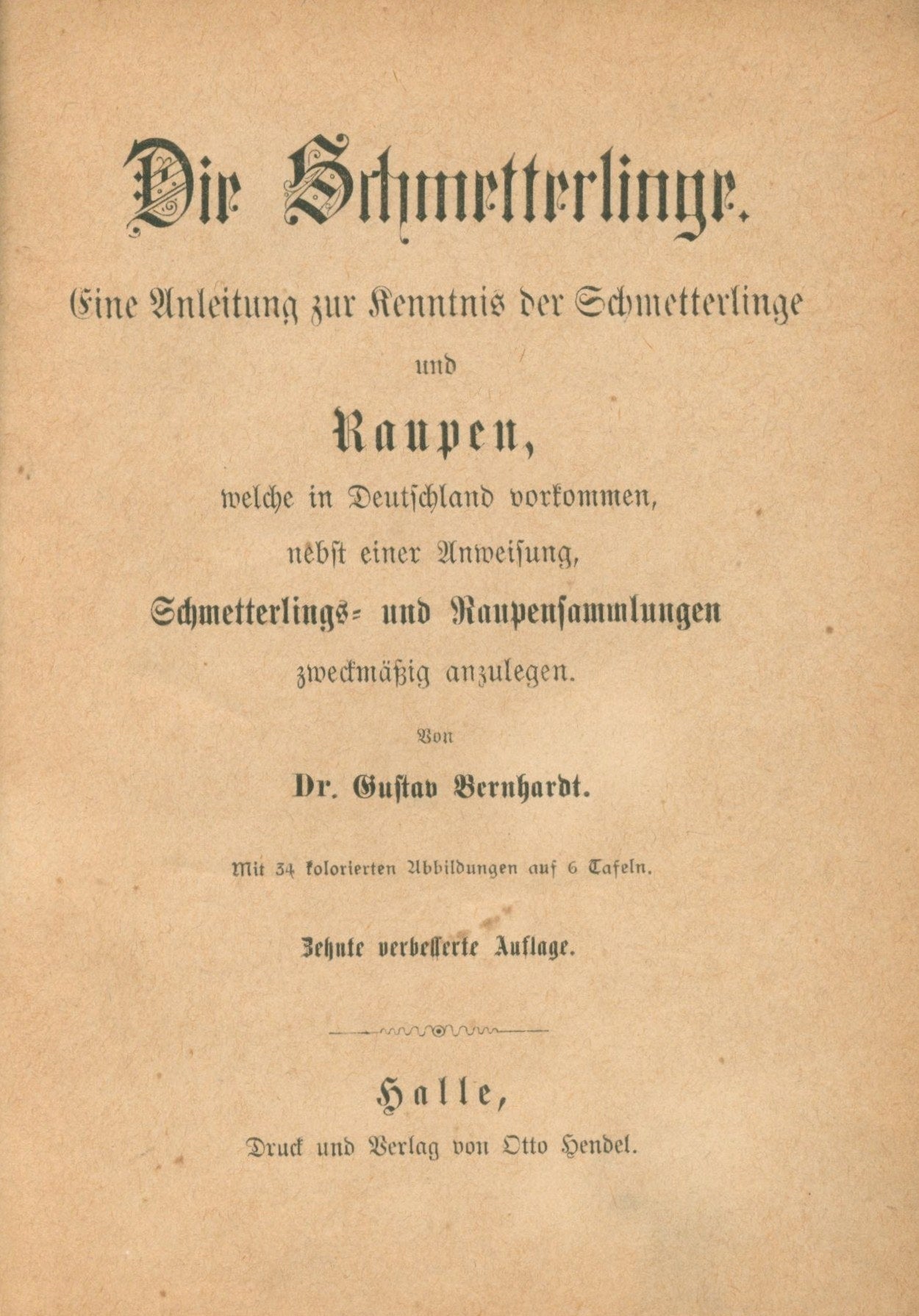 Księga motyli (Schmeterlingsbuch) [Halle 1890]