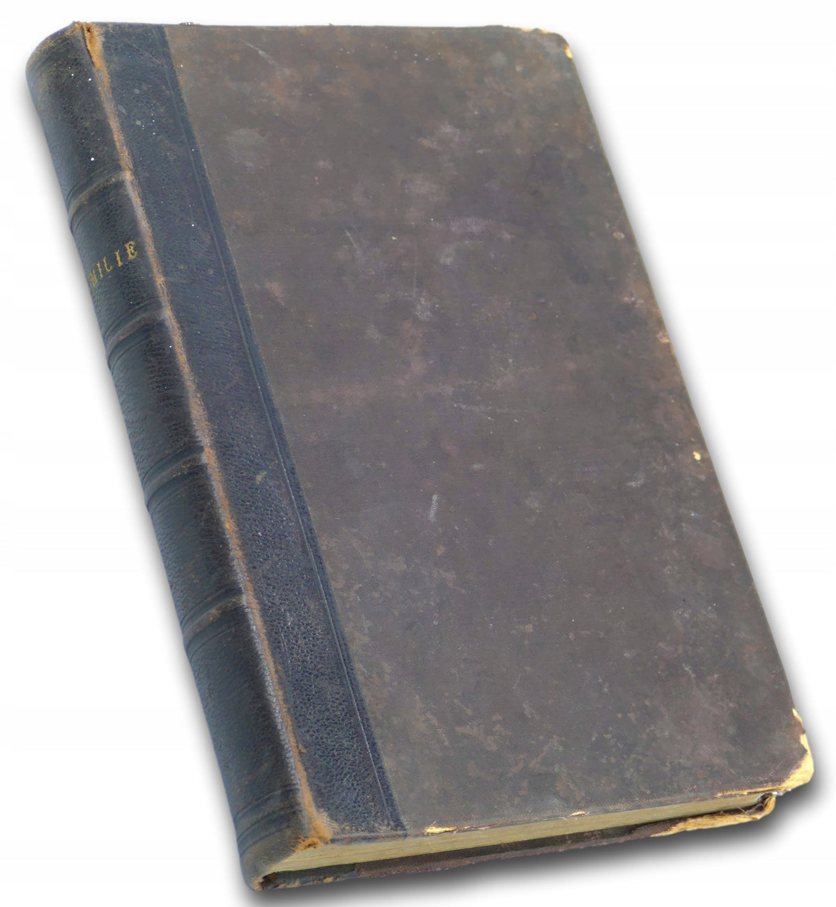 Homilie na niedziele i święta, 1895 [Kościół N.M.P. Łęczyca] A. Chmielowski