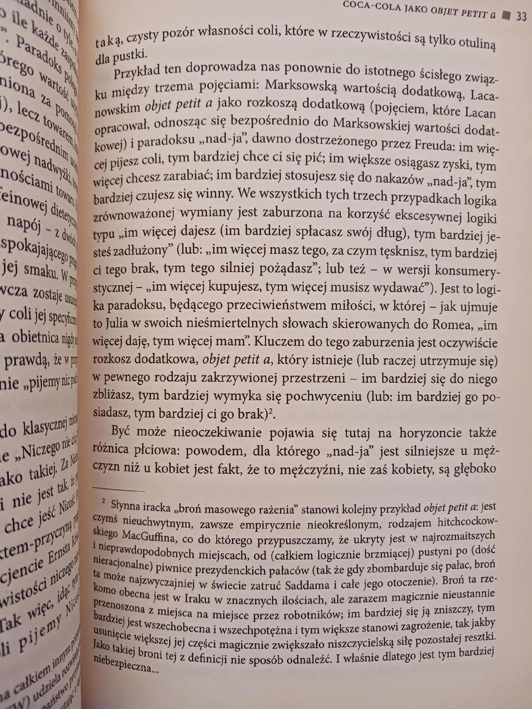 Kruchy absolut Slavoj Žižek