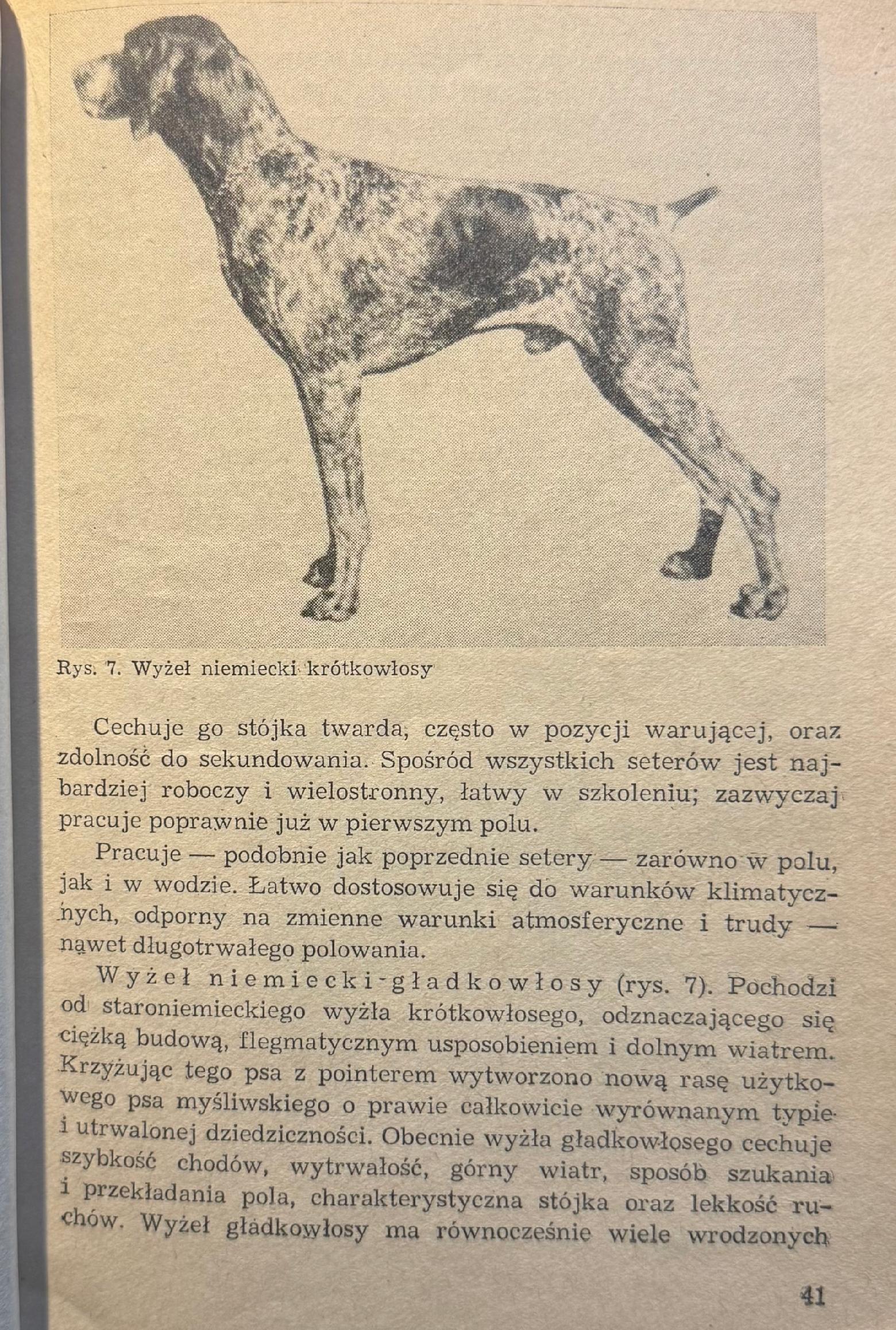 Szkolenie psów myśliwskich i obronnych Jan Gieżyński