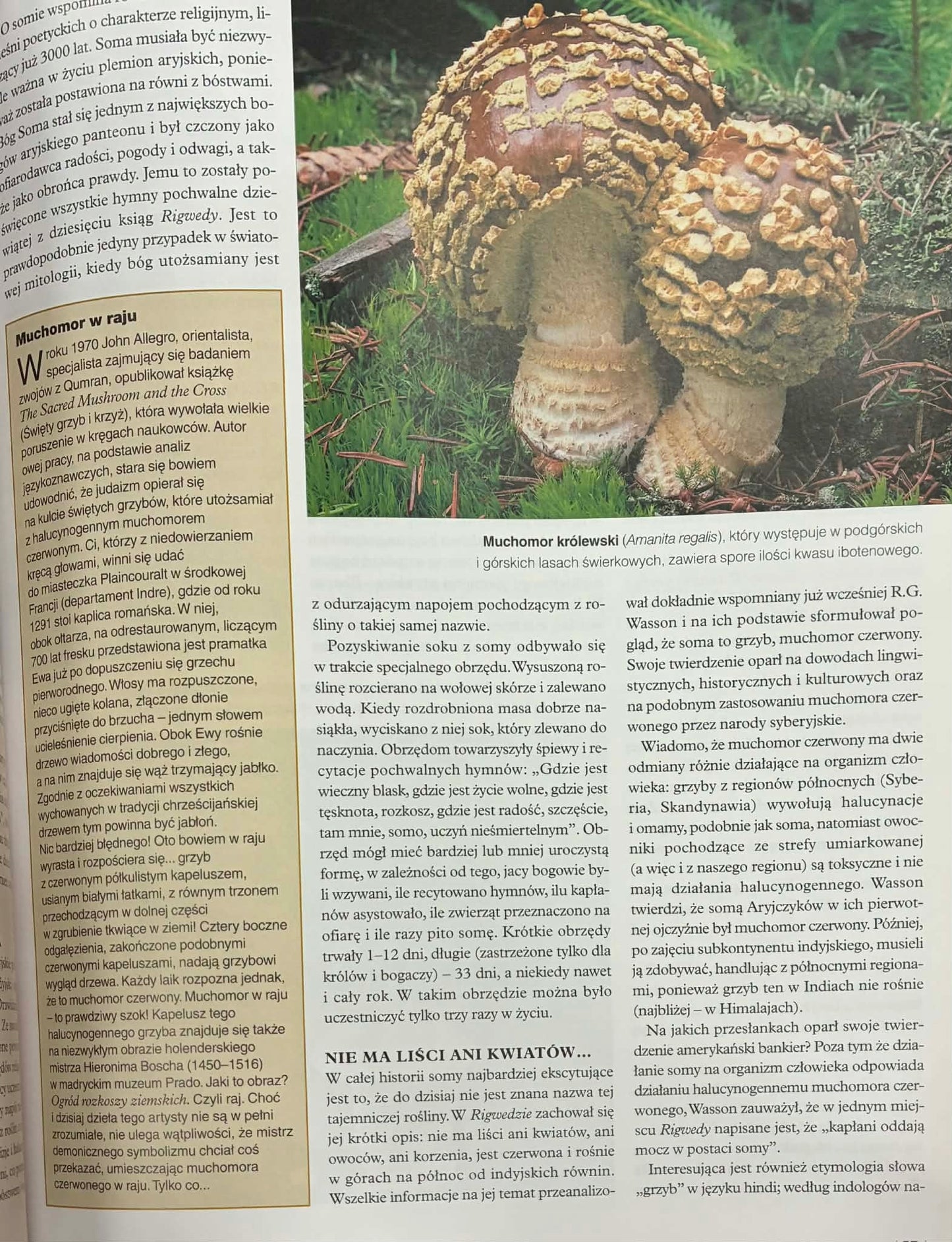 Grzyby ilustrowana encyklopedia, Vladimír Antonín