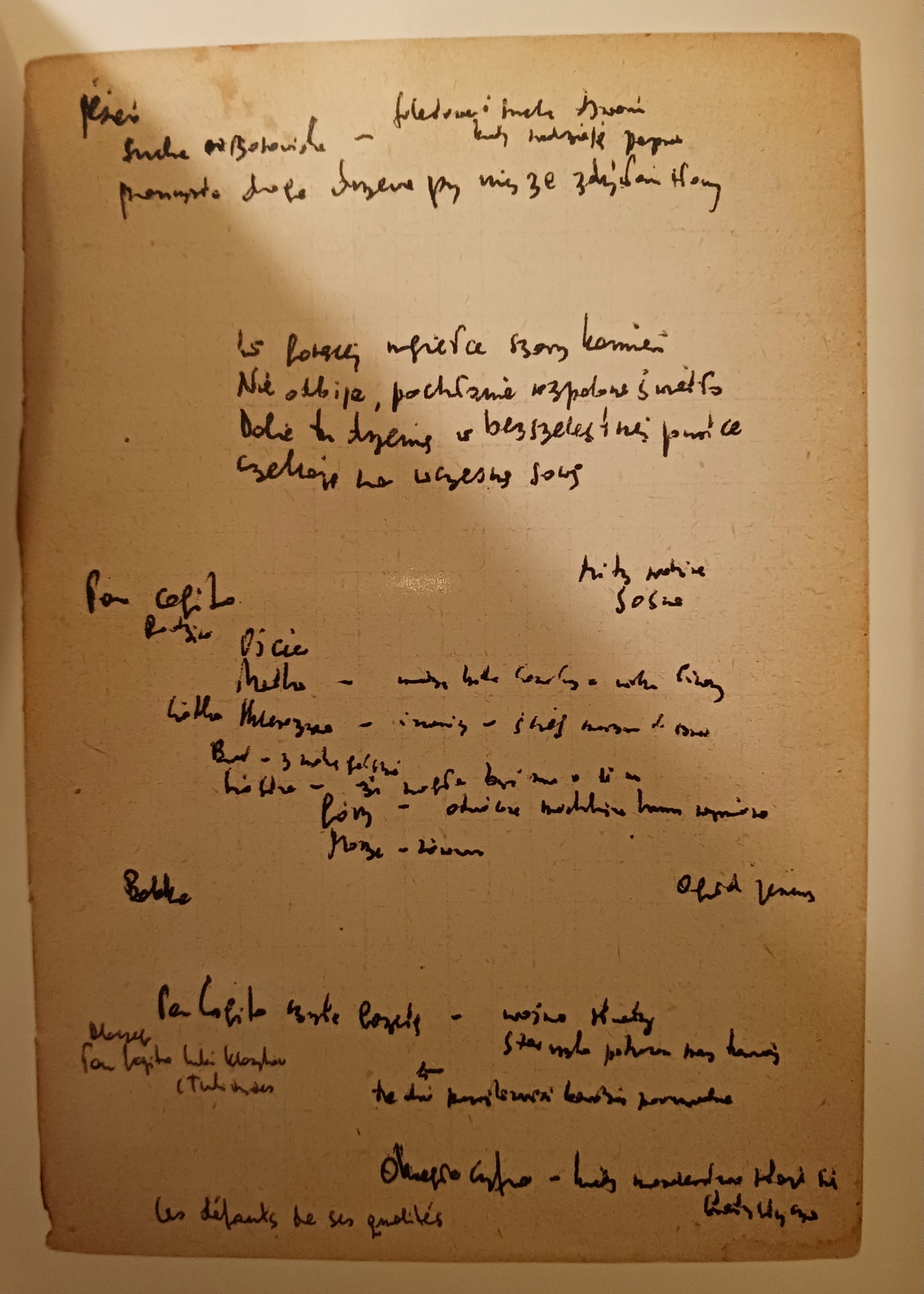 Pan Cogito Zbigniew Herbert