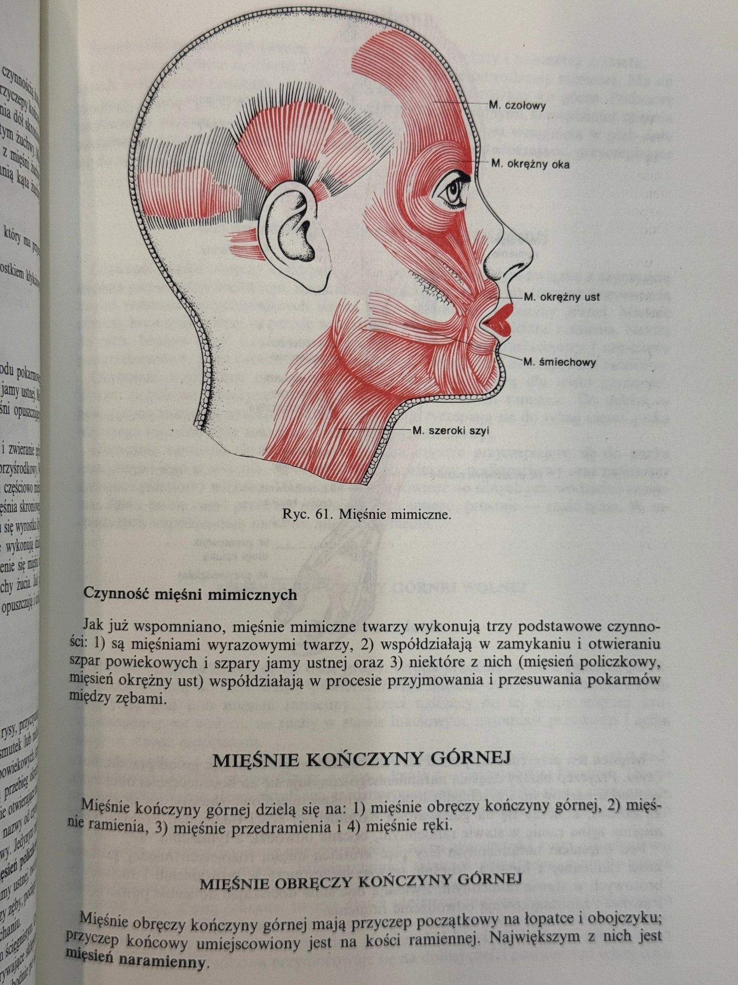 Anatomia i fizjologia człowieka Aleksander Michajlik, Witold Ramotowski