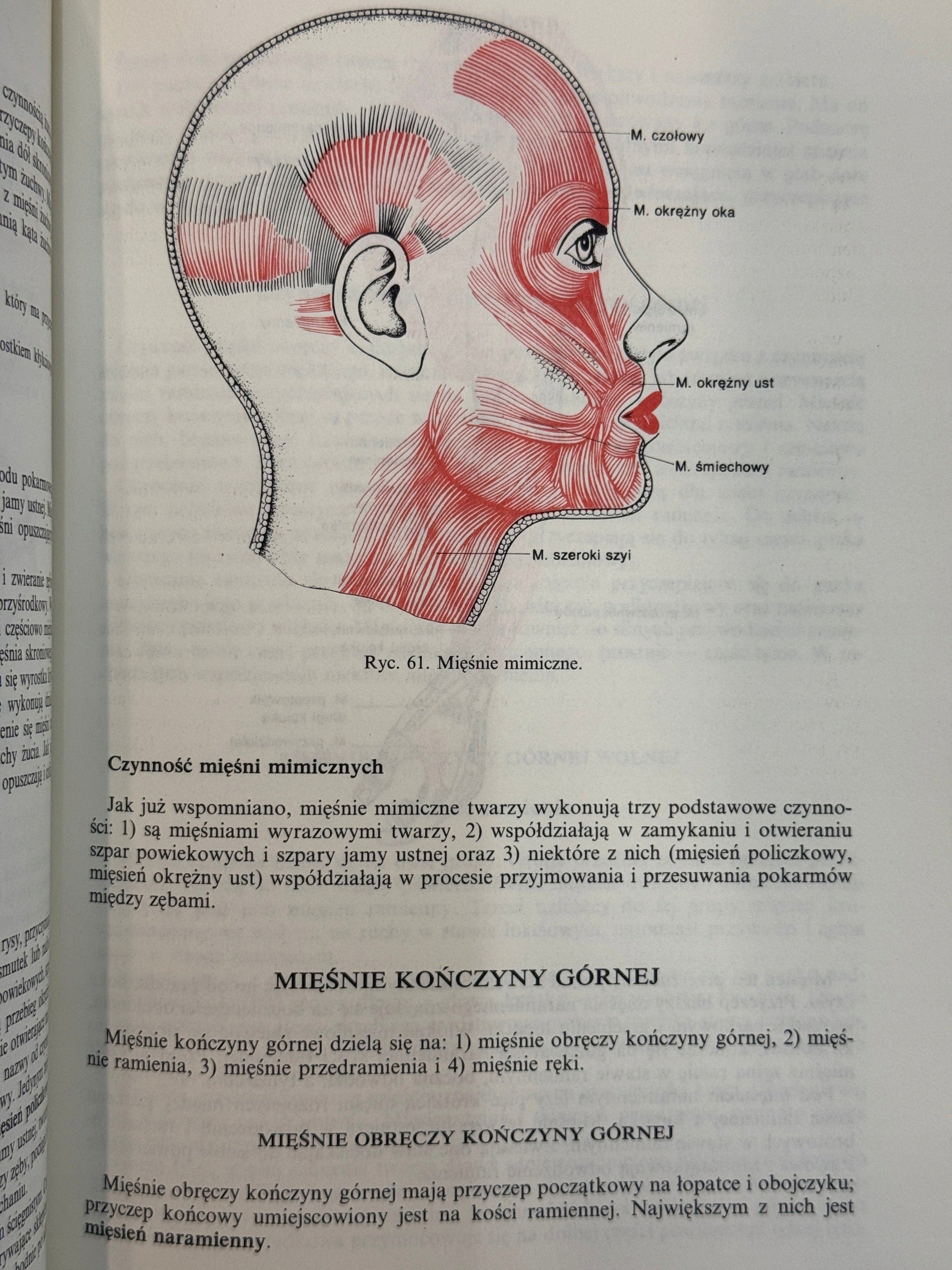 Anatomia i fizjologia człowieka Aleksander Michajlik, Witold Ramotowski