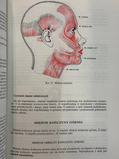 Anatomia i fizjologia człowieka Aleksander Michajlik, Witold Ramotowski