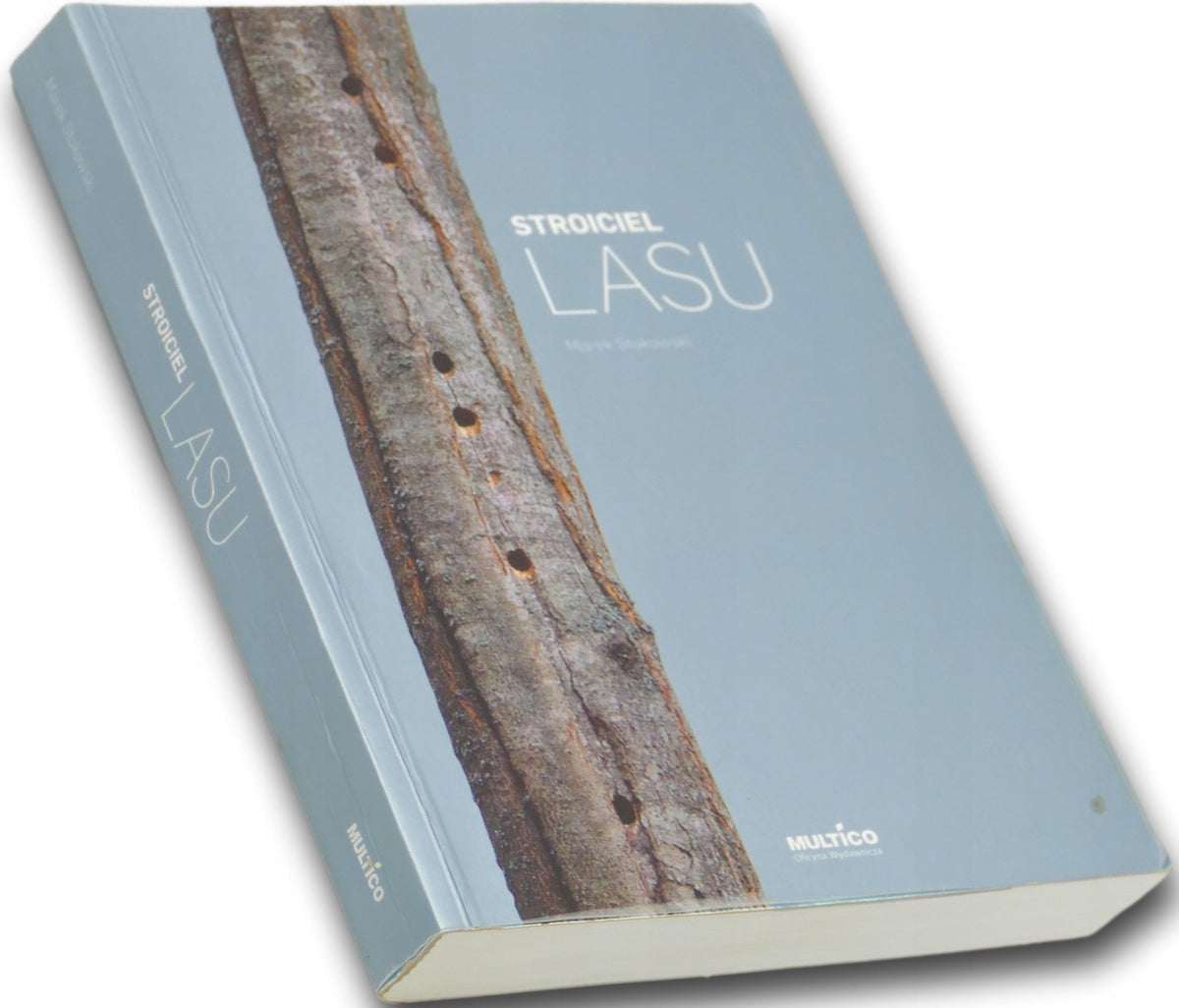 Stroiciel lasu, Marek Stokowski