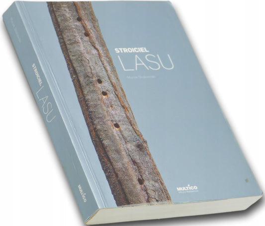 Stroiciel lasu, Marek Stokowski