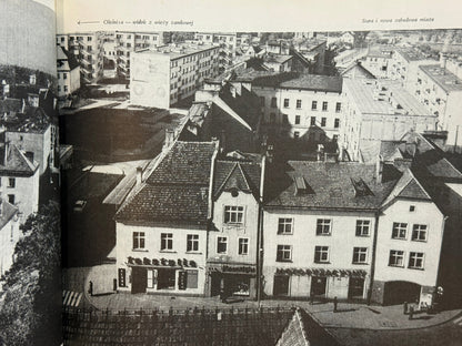 Oleśnica miasto wież i róż Zbigniew Tempski