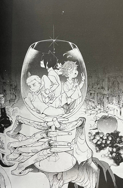 Zestaw 3 książek Kaiu Shirai, Posuka Demizu The Promised Neverland
