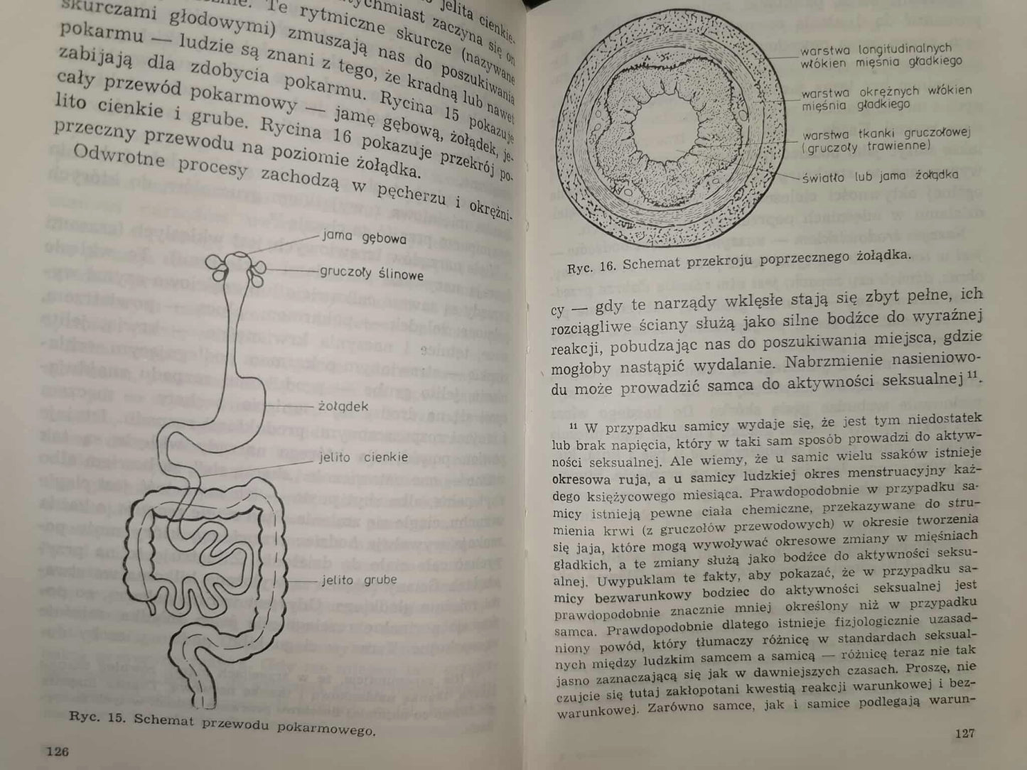 Behawioryzm oraz Psychologia, jak widzi ją behawiorysta, John B Watson