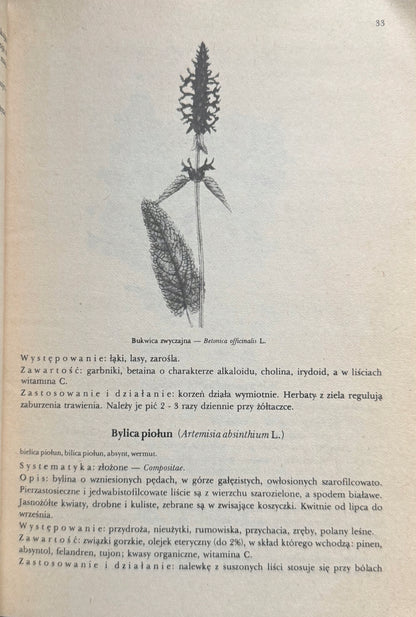 eeae1f4f2879da0623045359789df58b