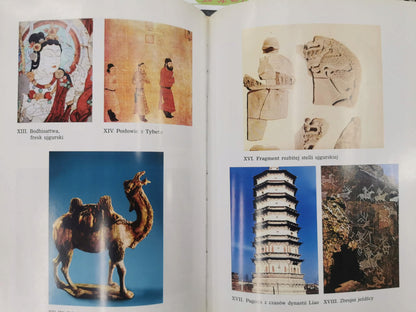 e8120e37f8ef3977eb8dc4e8b0789834