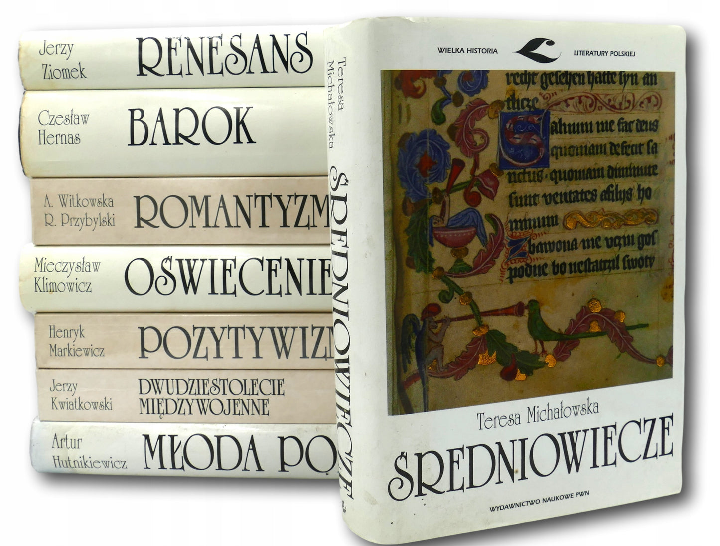 Średniowiecze - Dwudziestolecie międzywojenne x8 tomów [Historia Lit. Pol.]