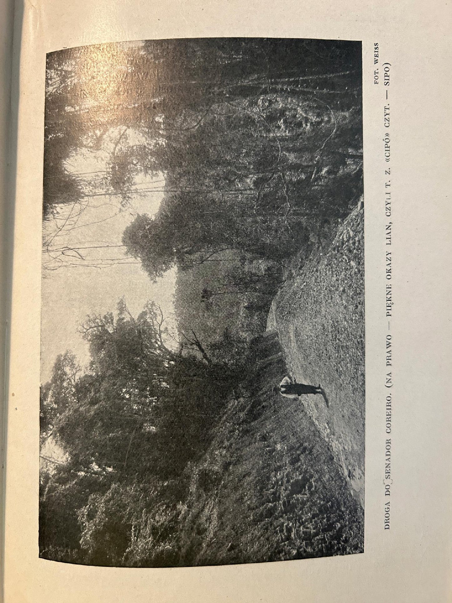 Ziemia świętego krzyża (Brazylja) - Jerzy Ostrowski [1929 r.]