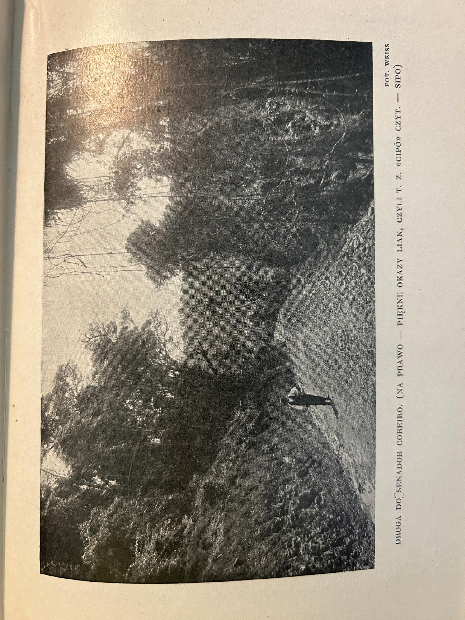 Ziemia świętego krzyża (Brazylja) - Jerzy Ostrowski [1929 r.]