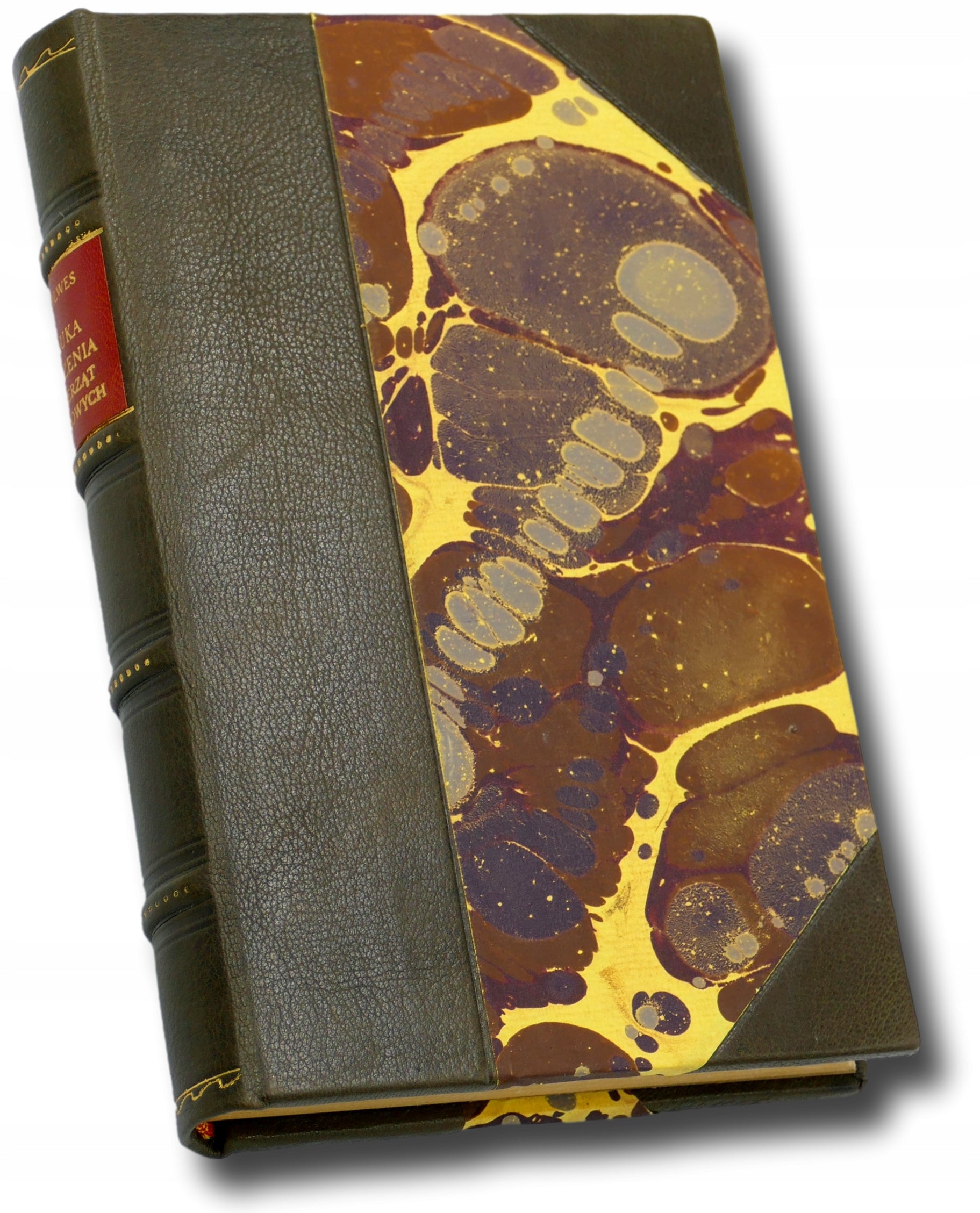 5f9021adafb99ef842ccb0601c802018