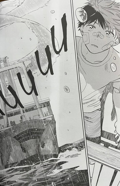 Zestaw 2 książek Makoto Shinkai, Wataru Kubota Dziecię słońca i deszczu