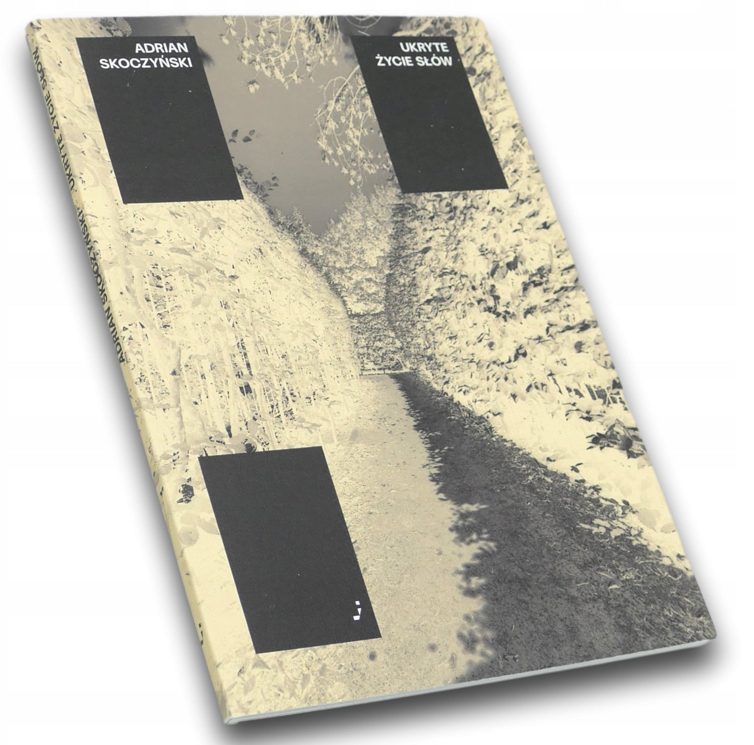 Ukryte życie słów, Adrian Skoczyński