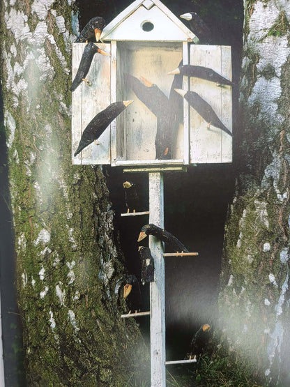 26dd4a240d5dbd0c0c8d0bfc06b855d3