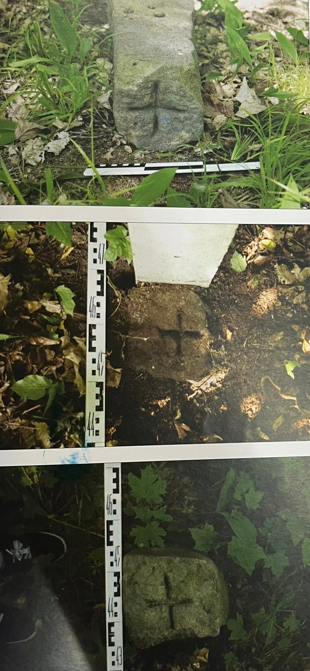 Praca zbiorowa Wleński mikroregion osadniczy w X-XVIII wieku