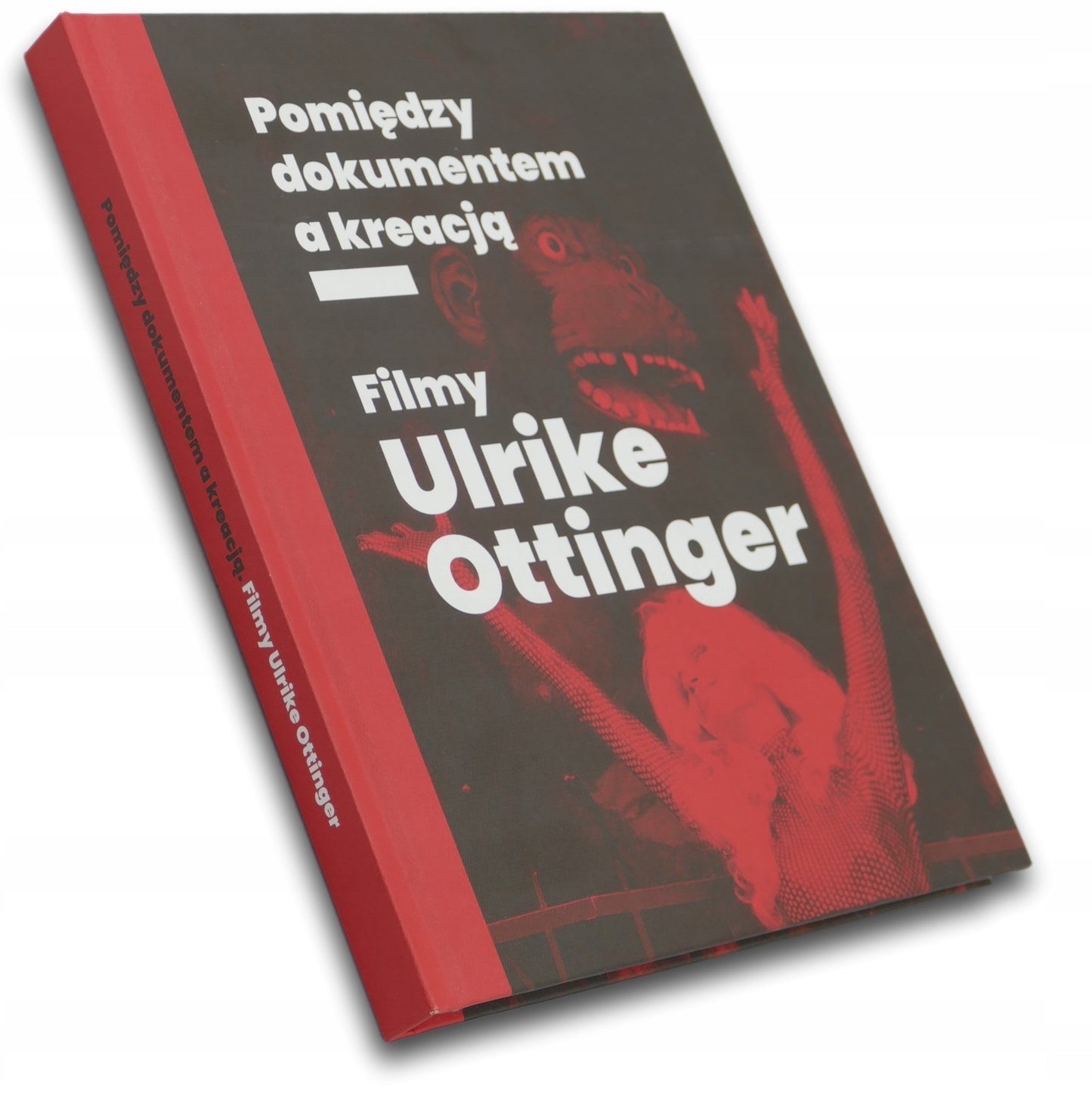 Filmy Ulrike Ottinger. Pomiędzy dokumentem a kreacją - Praca zbiorowa