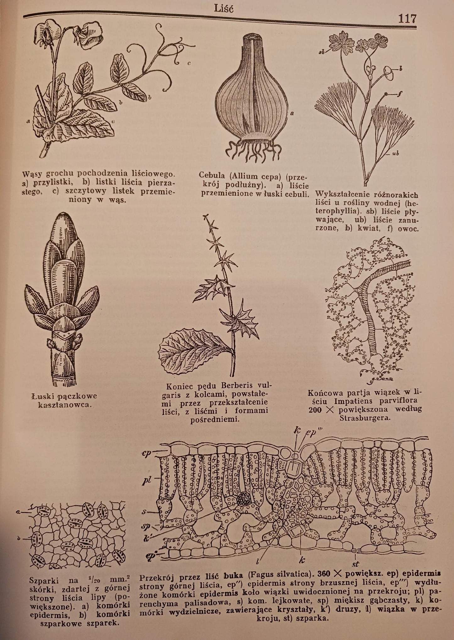 Encyklopedia Powszechna Wydawnictwa Gutenberga Tomy 1-20 [brak tomu 17]