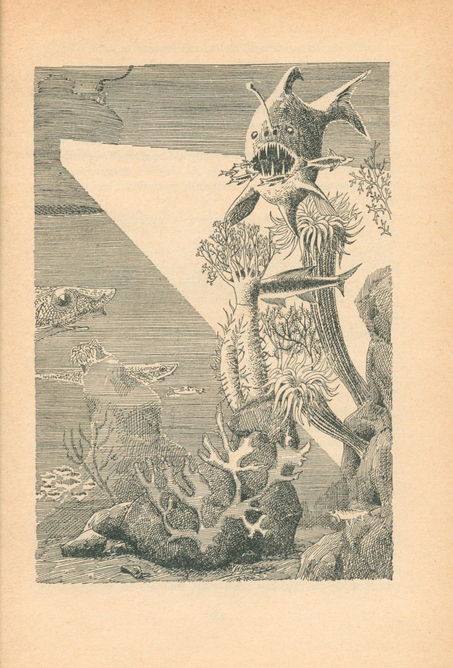 Wokół Księżyca, J. Verne [projekt okładki i ilustracje Daniel Mróz]