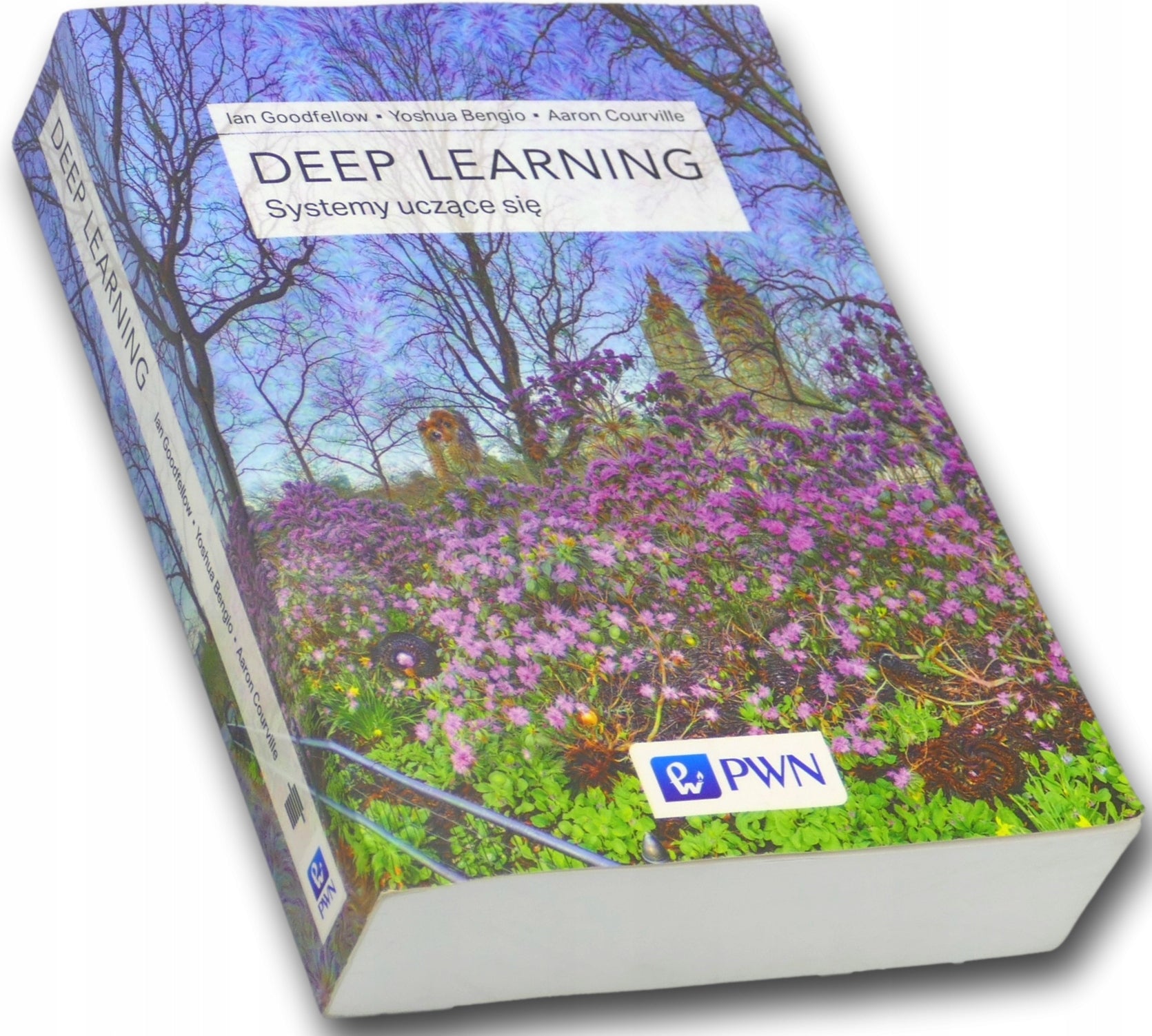 Deep Learning Współczesne systemy uczące się, Y. Bengio, I. Goodfellow