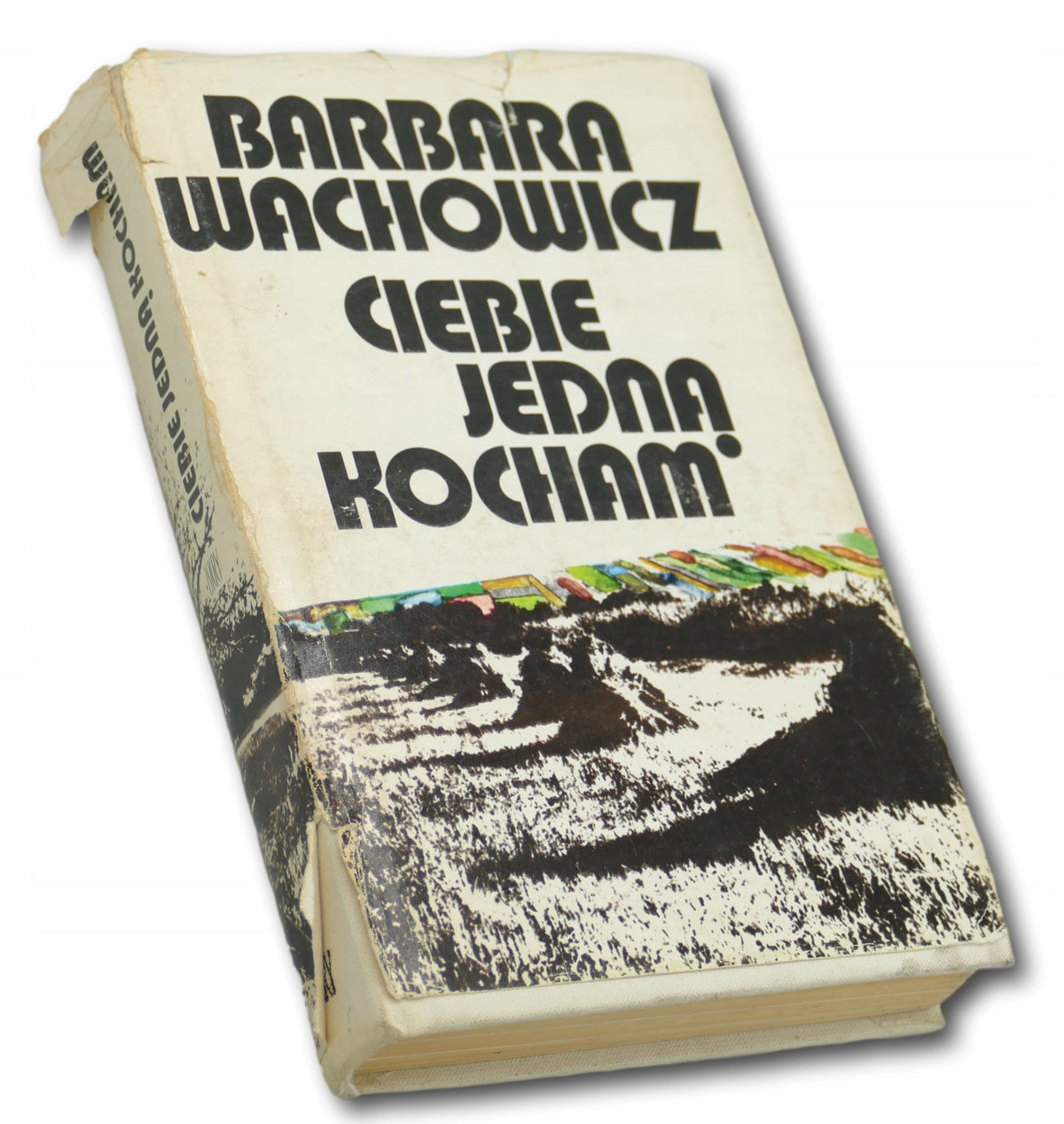 Barbara Wachowicz Ciebie jedną kocham