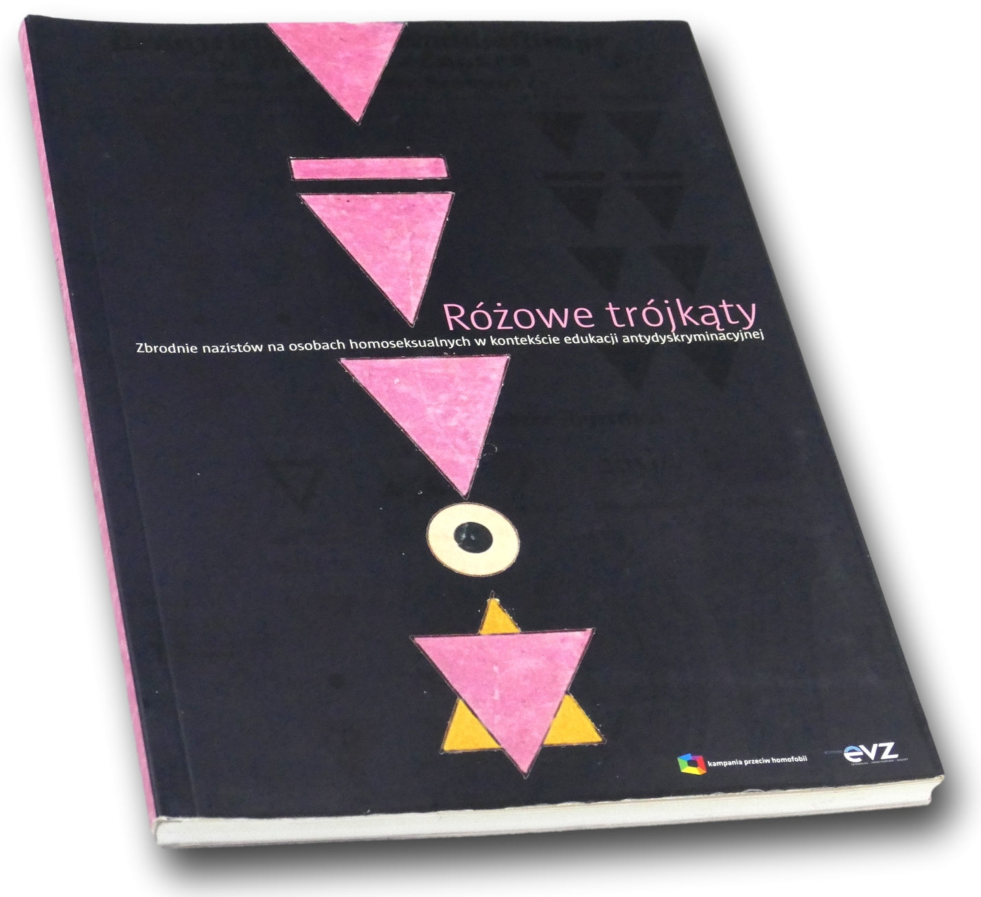 Różowe trójkąty Zbrodnie nazistów na osobach homoseksualnych Katarzyna Remi